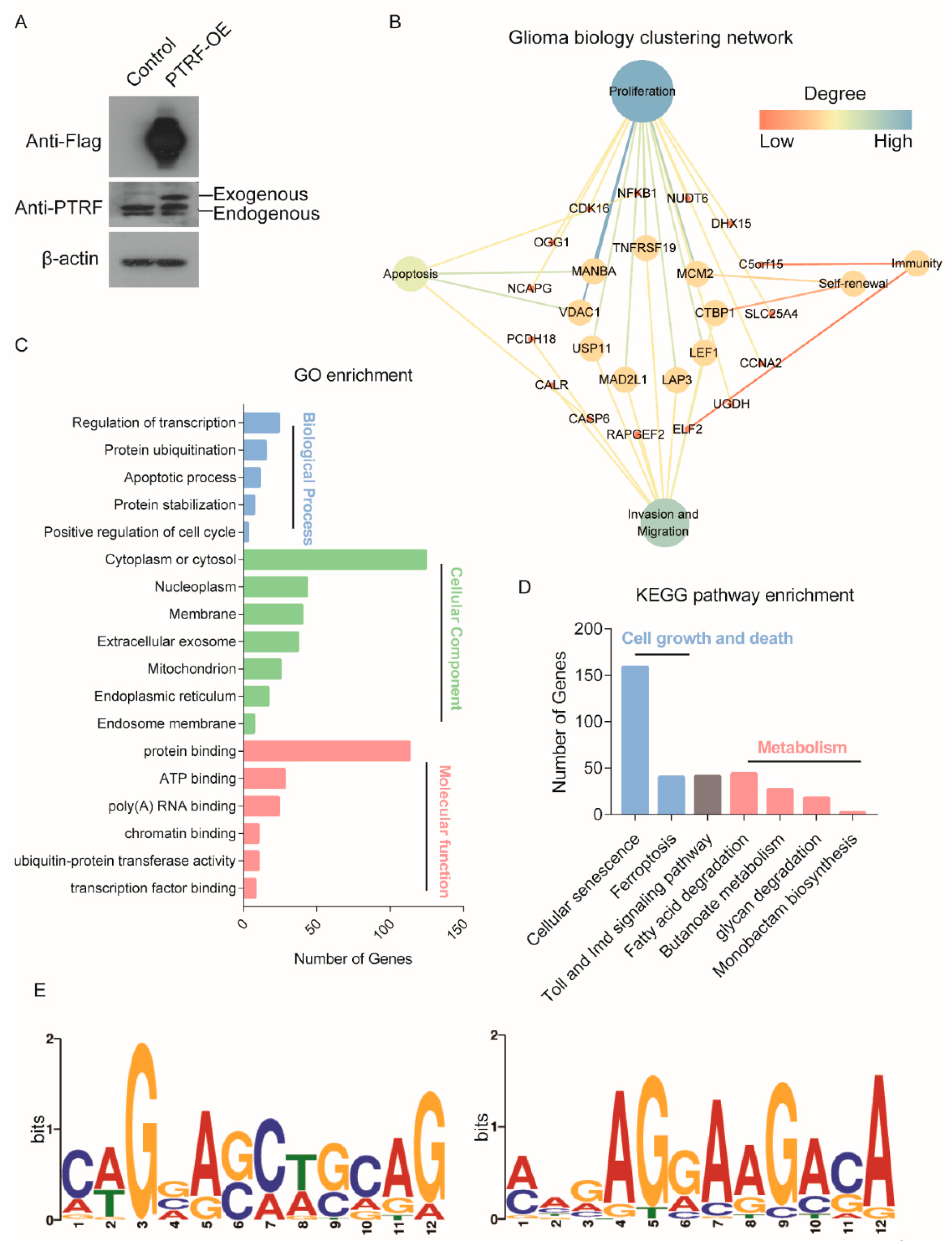 Cancers 12 00892 g007