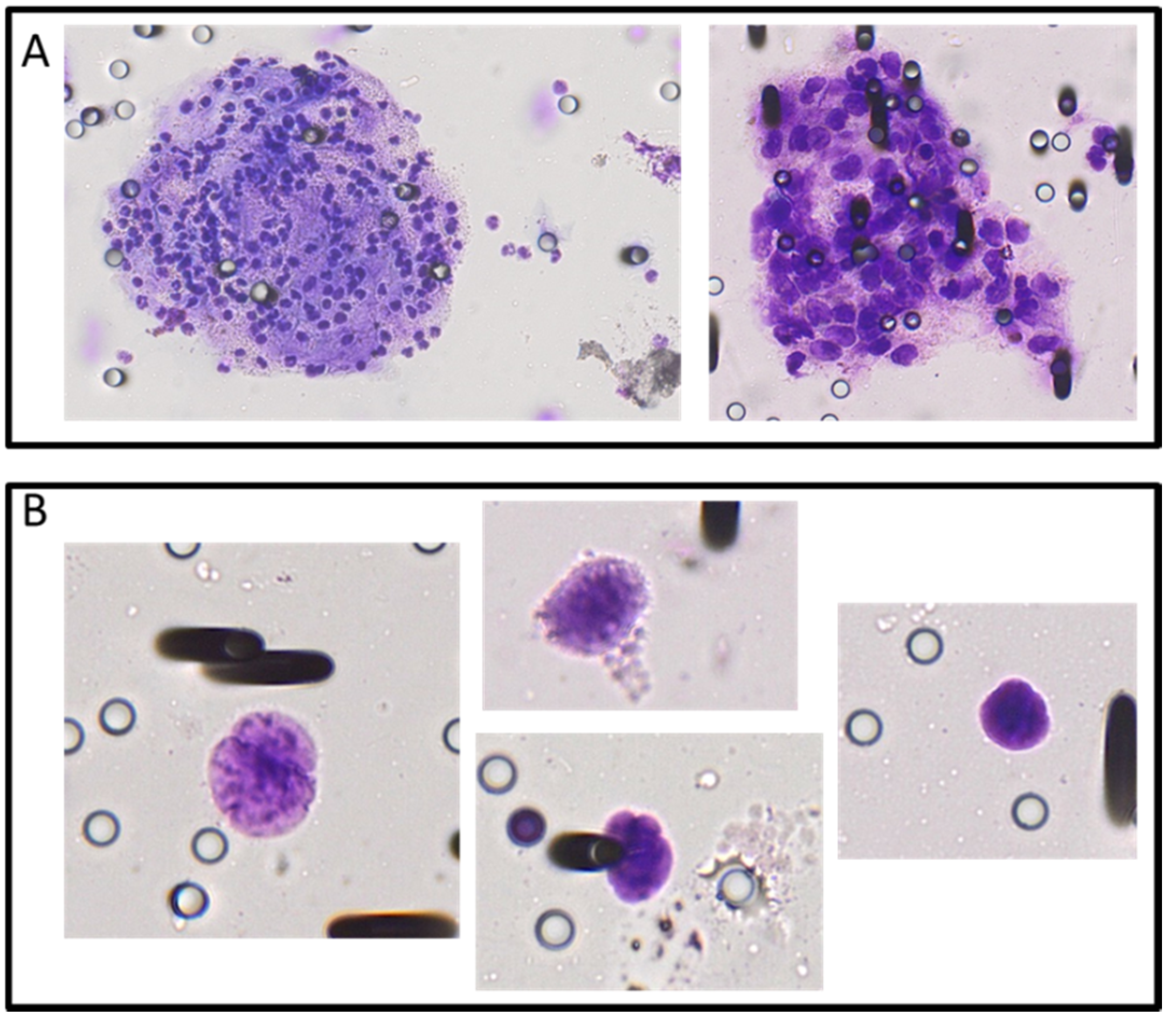 Cancers 12 00896 g0a2 Cancers 12 00896 g0a2