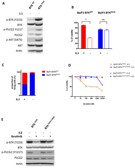 cancers-12-00901-g001-550.jpg