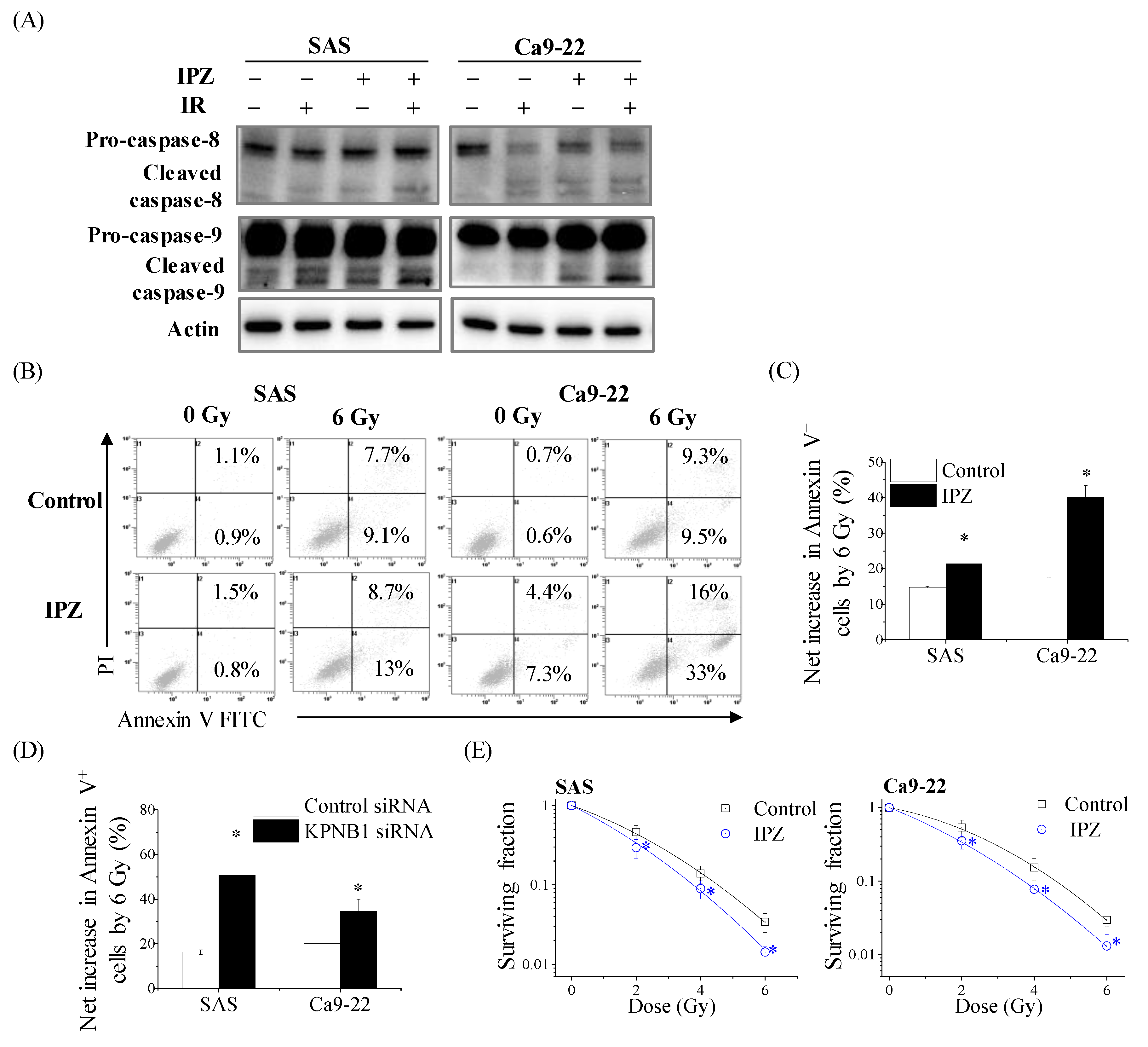 Cancers 12 00908 g002
