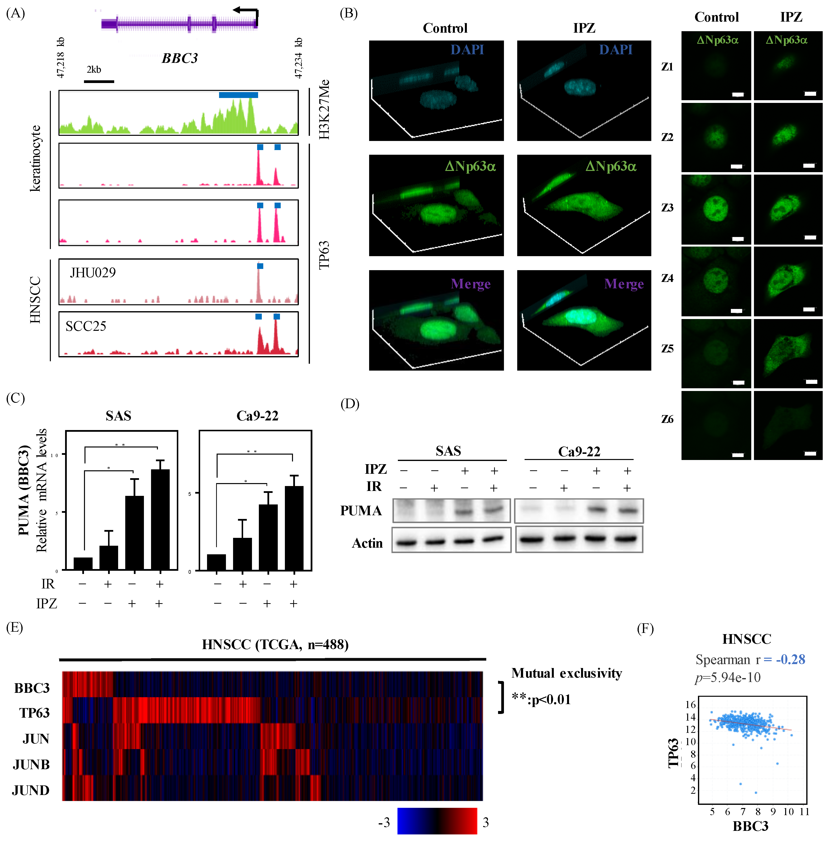 Cancers 12 00908 g003