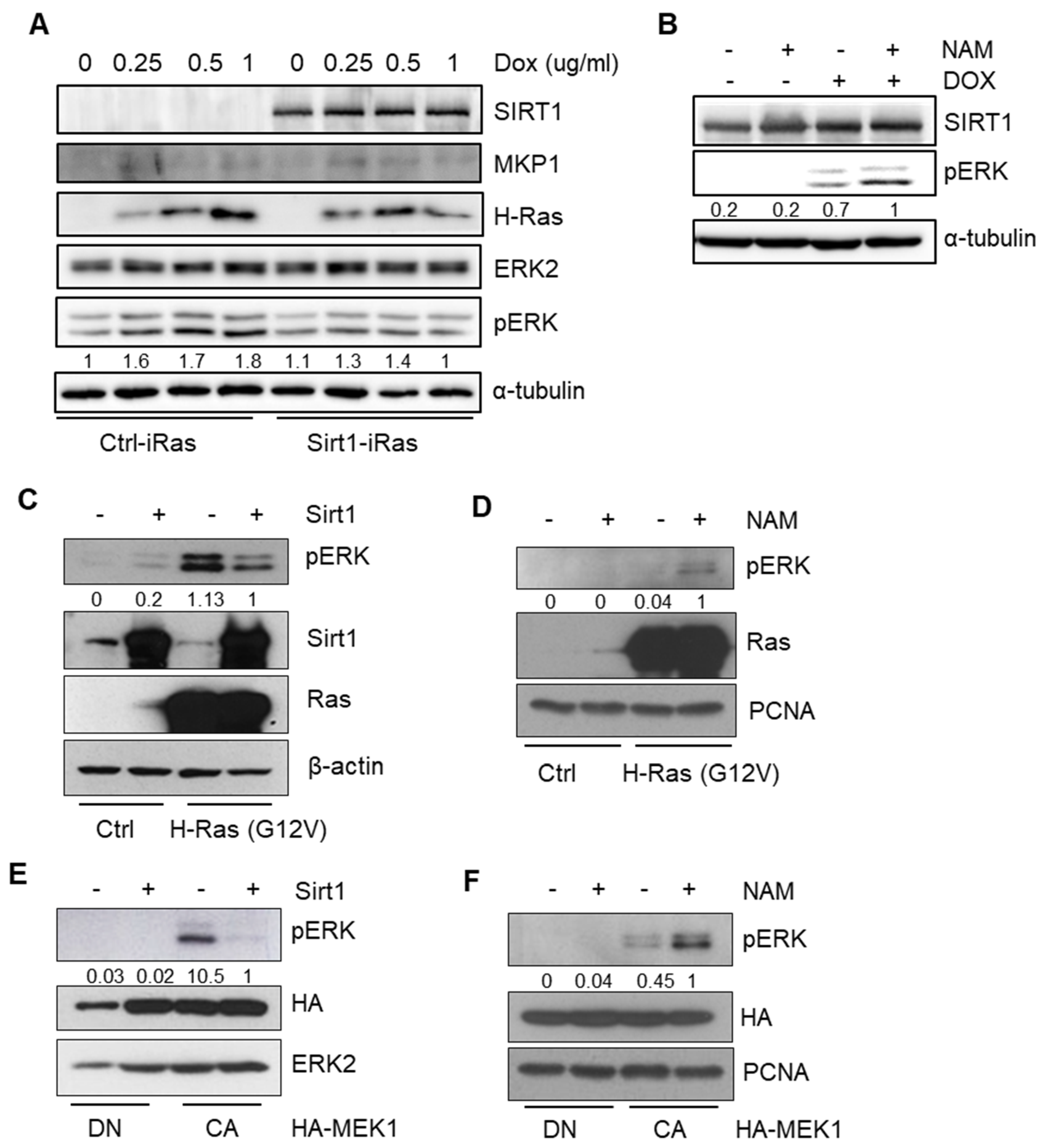Cancers 12 00909 g003 Cancers 12 00909 g003