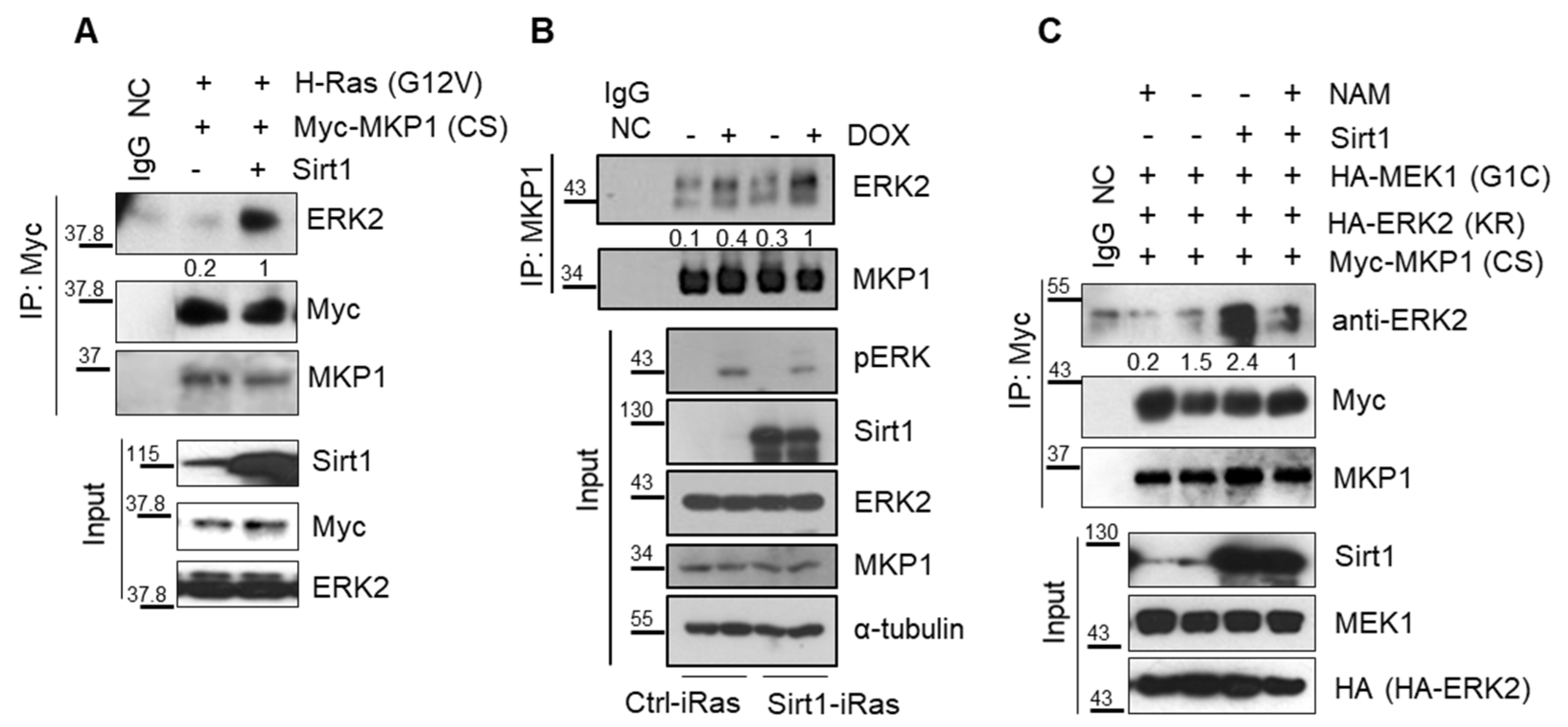 Cancers 12 00909 g005 Cancers 12 00909 g005