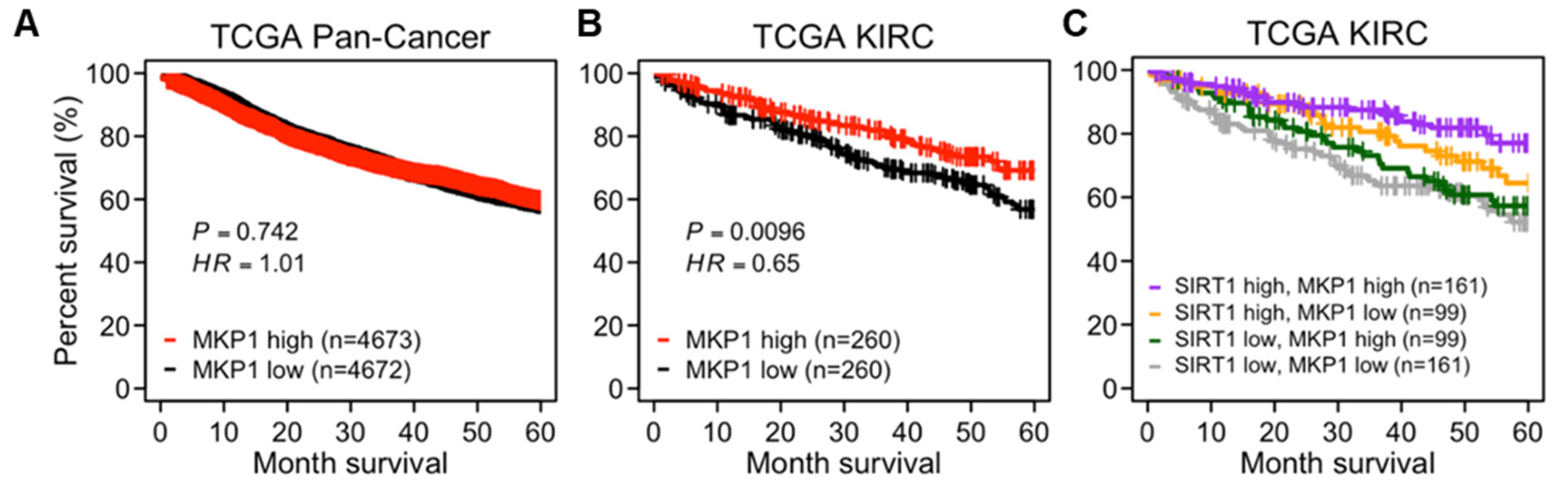 Cancers 12 00909 g006 Cancers 12 00909 g006