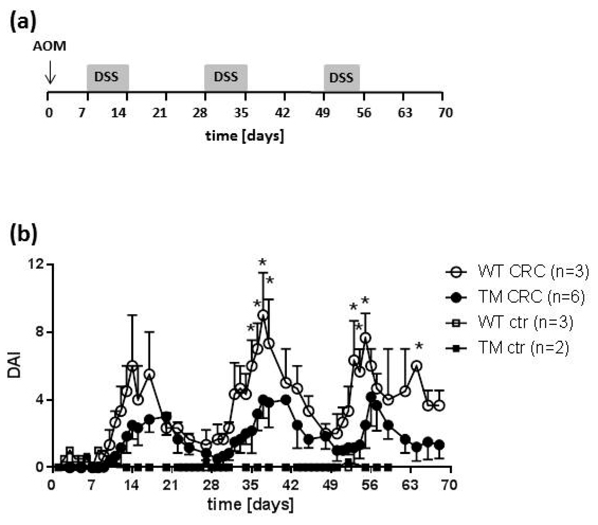 Cancers 12 00912 g001 Cancers 12 00912 g001