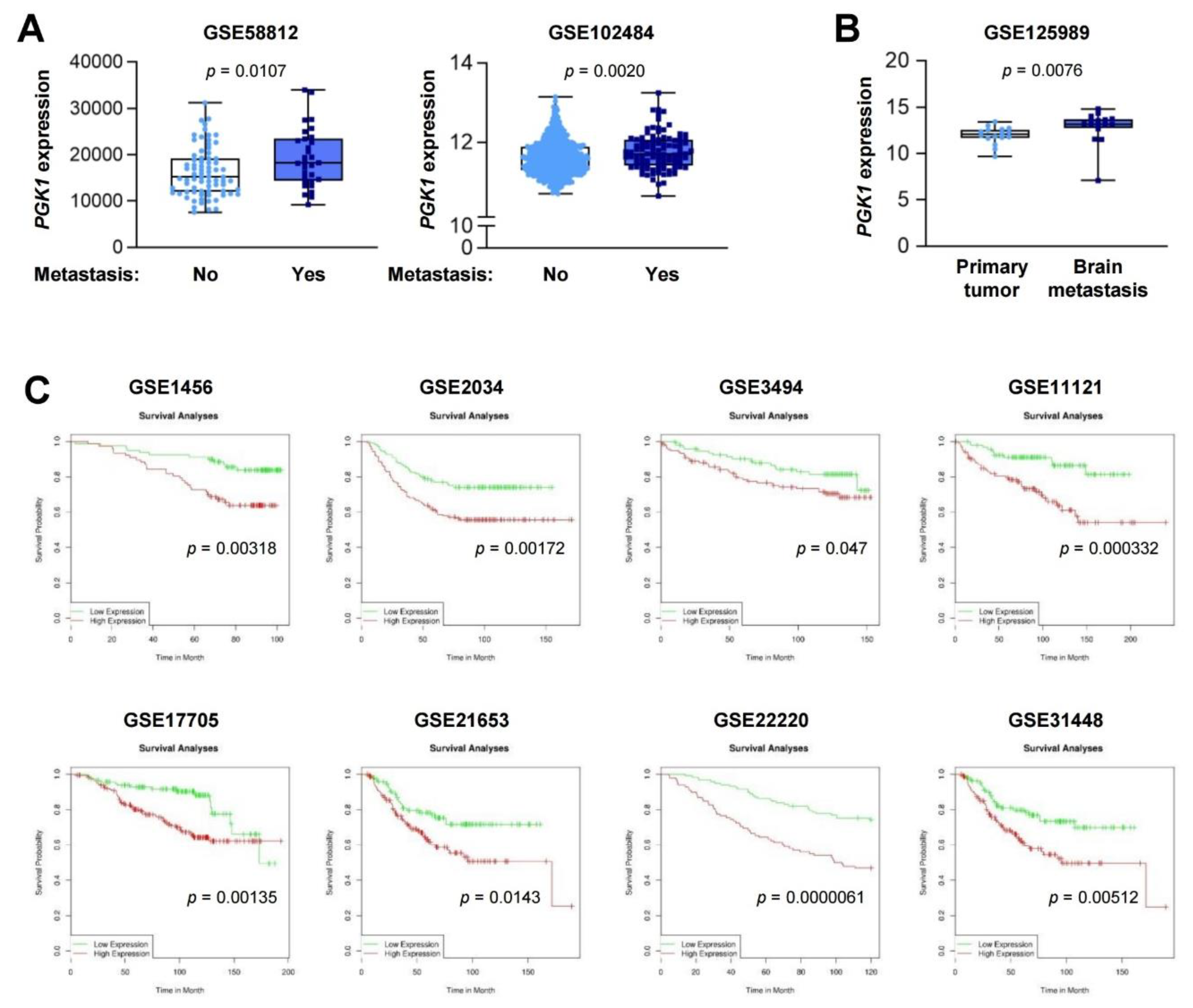 Cancers 12 00913 g006