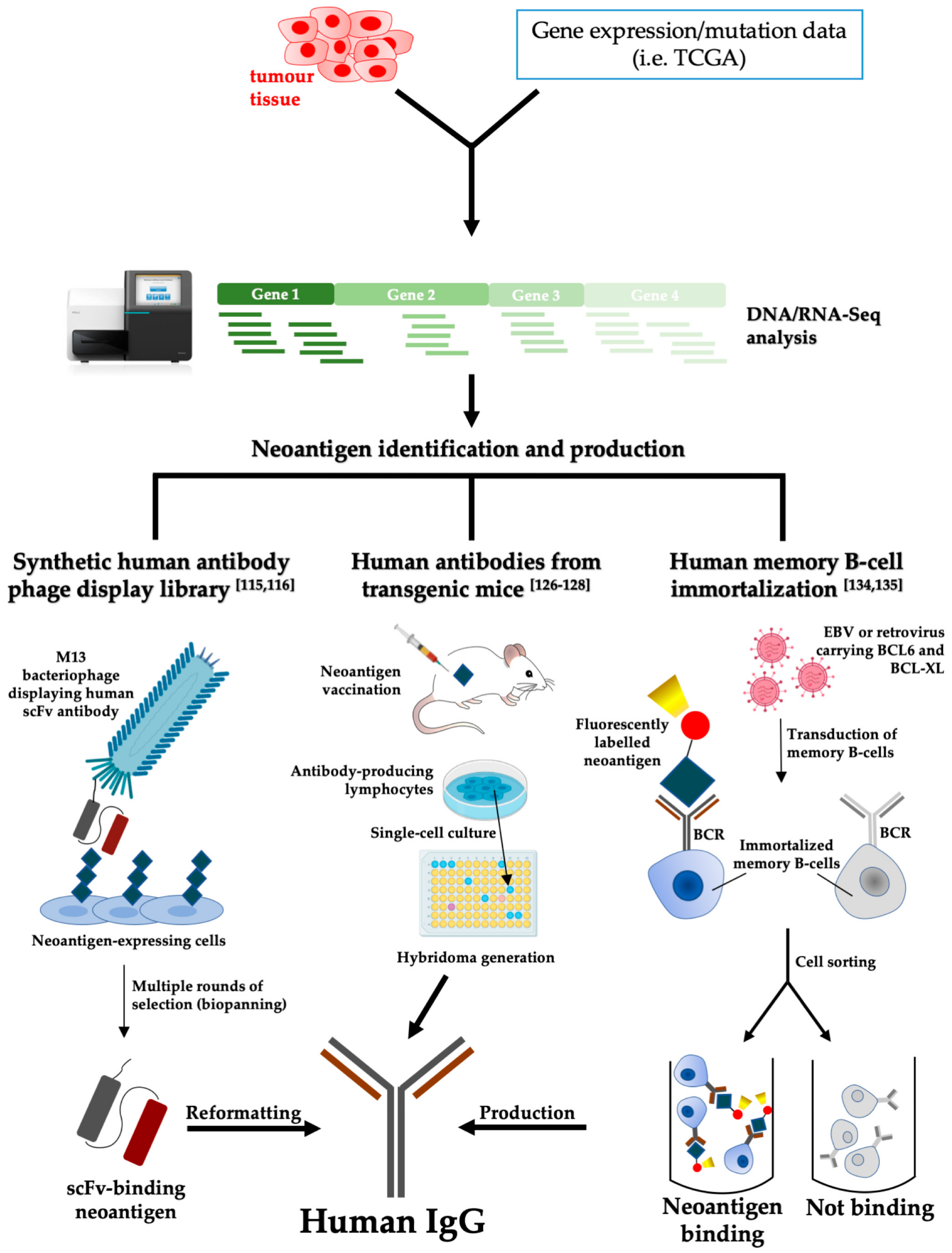 how do newborns get tested for covid