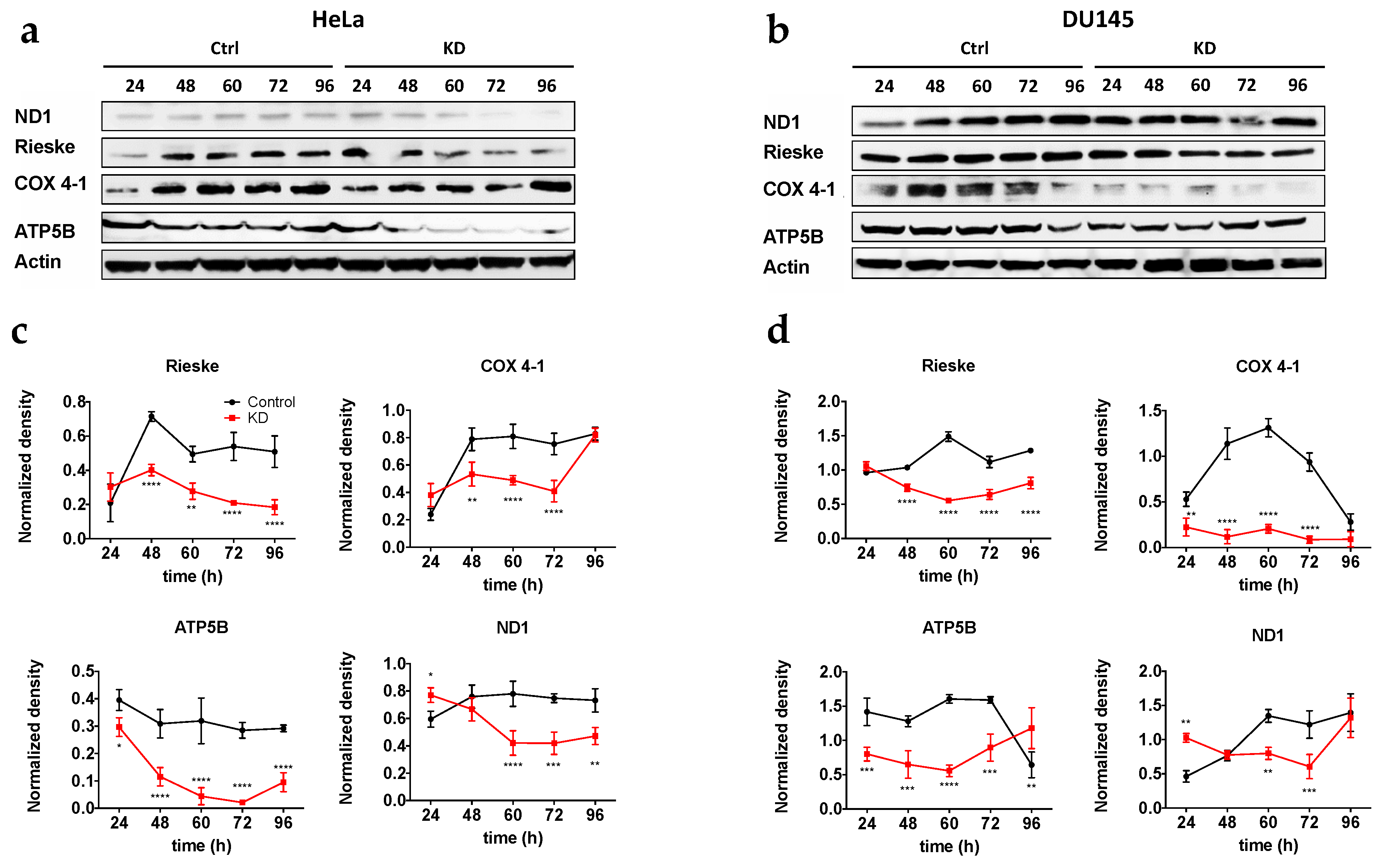 Cancers 12 00920 g006