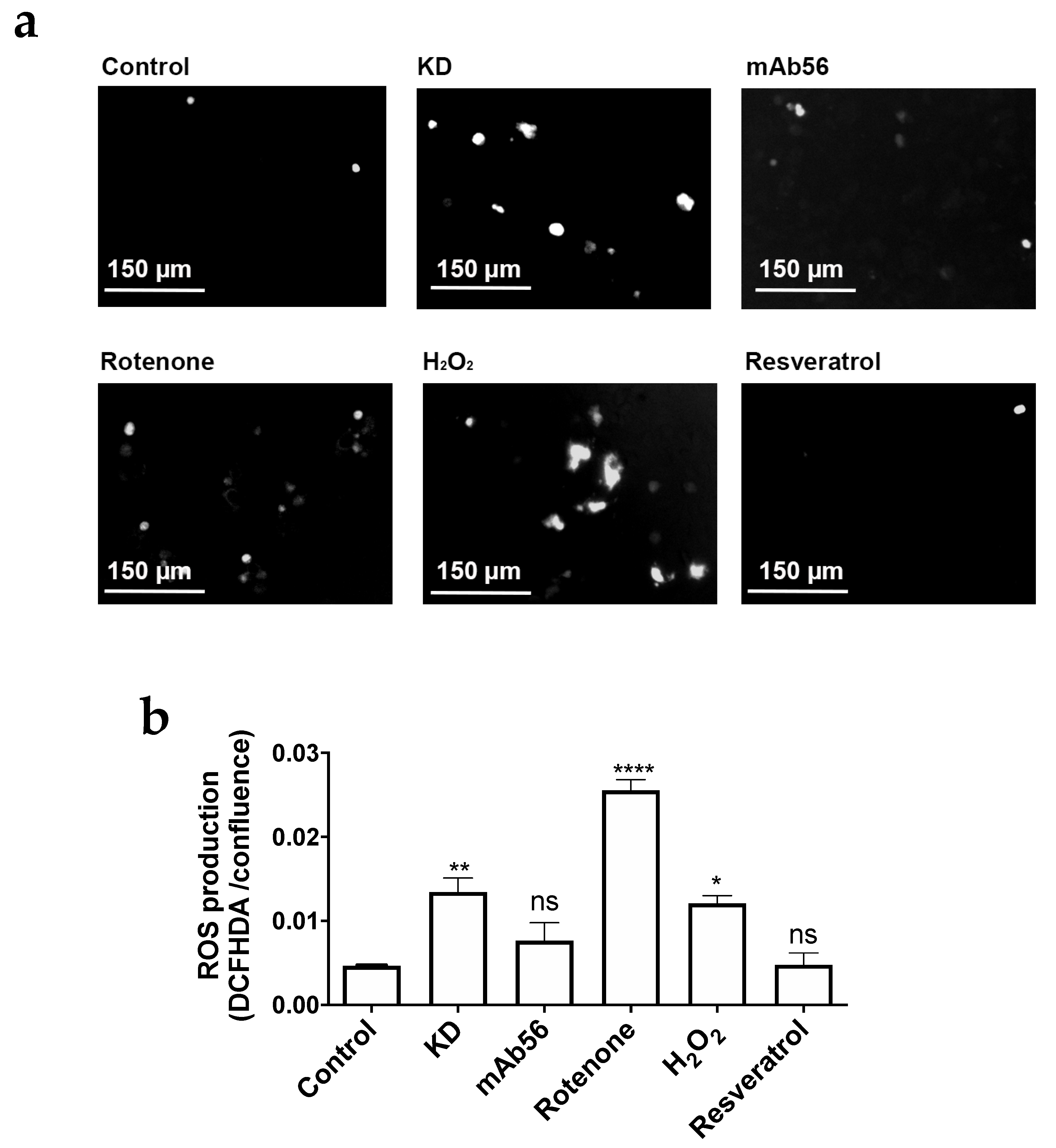 Cancers 12 00920 g008