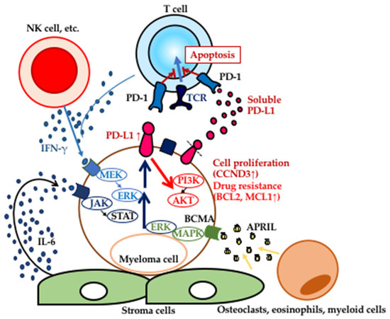 cancers-12-00924-g001-550.jpg