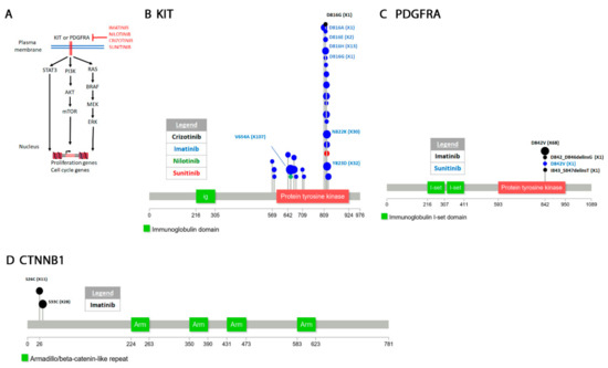 Secondary Resistant Mutations to Small Molecule Inhibitors
