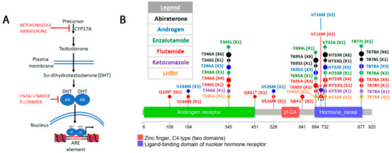 Secondary Resistant Mutations to Small Molecule Inhibitors