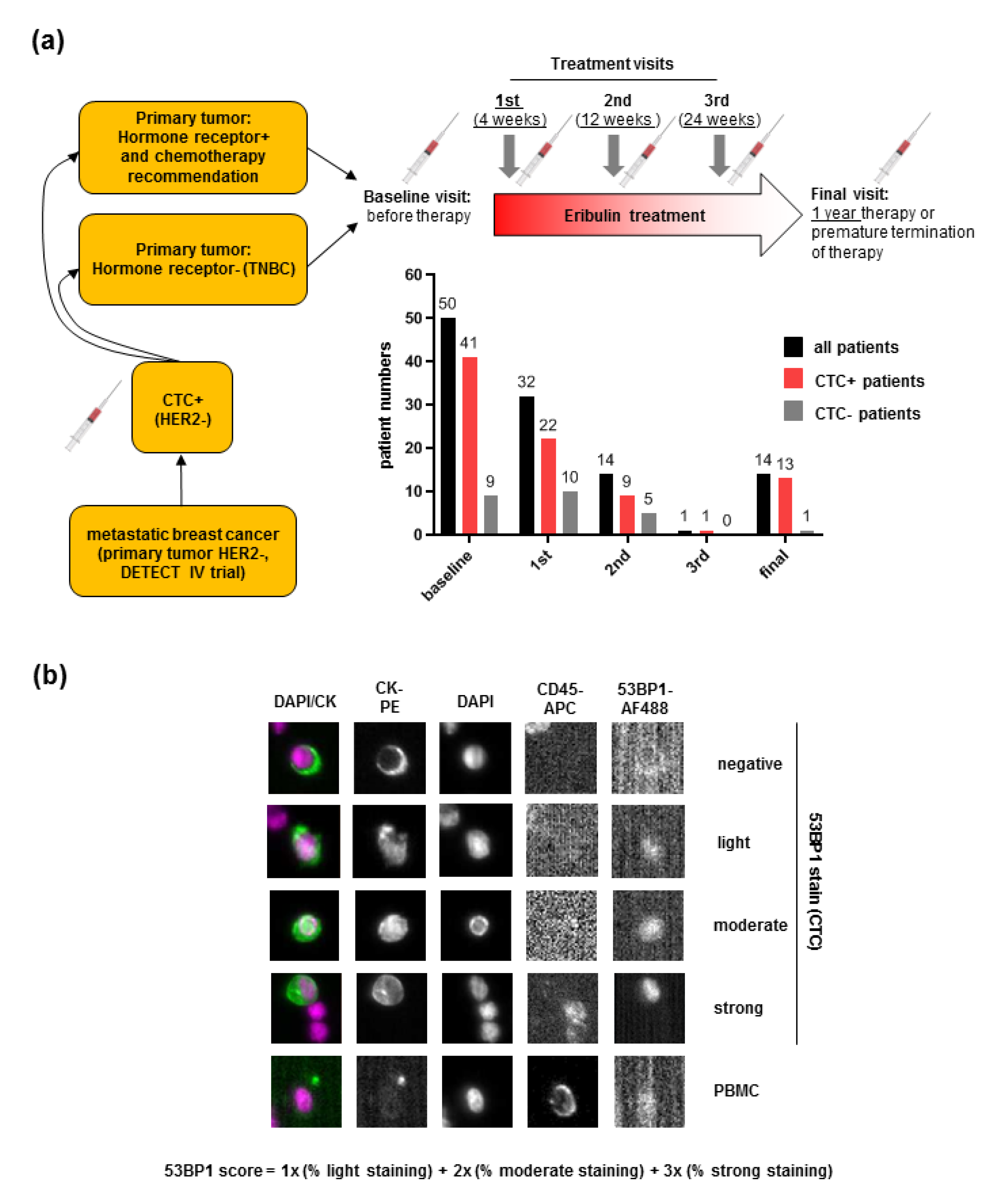 Cancers 12 00930 g001 Cancers 12 00930 g001