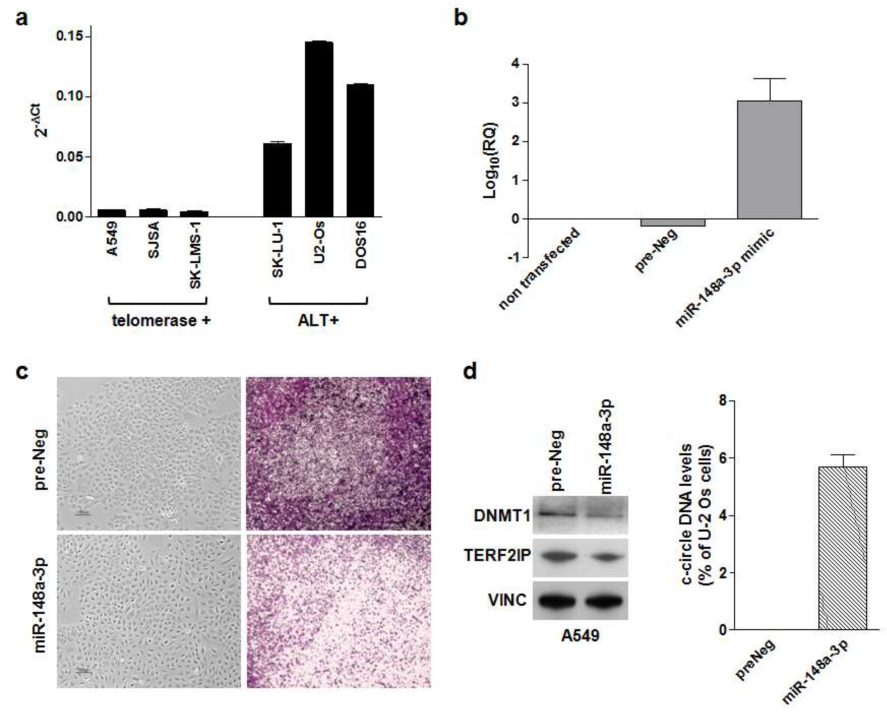 Cancers 12 00949 g001