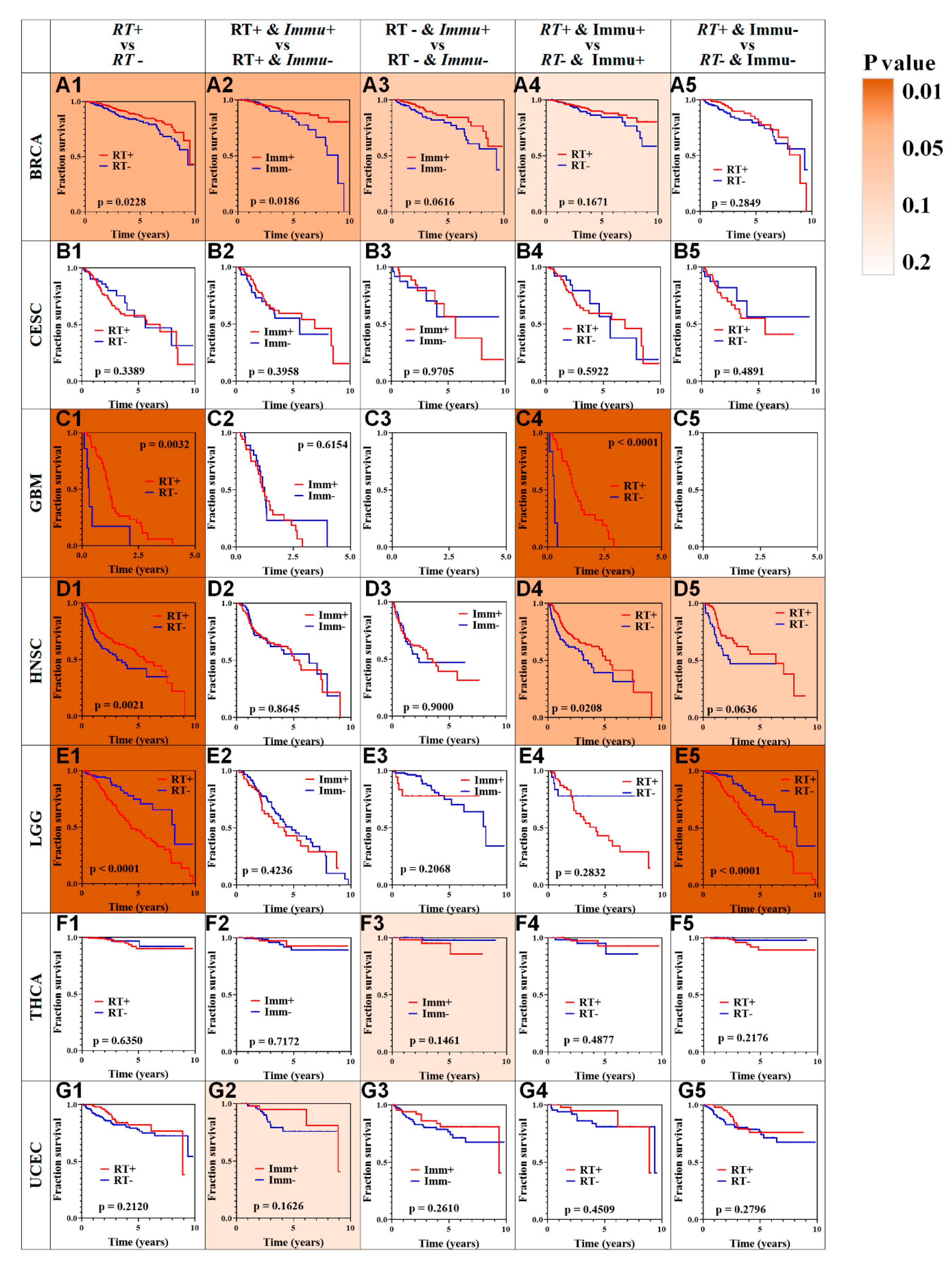 Cancers 12 00957 g002 Cancers 12 00957 g002