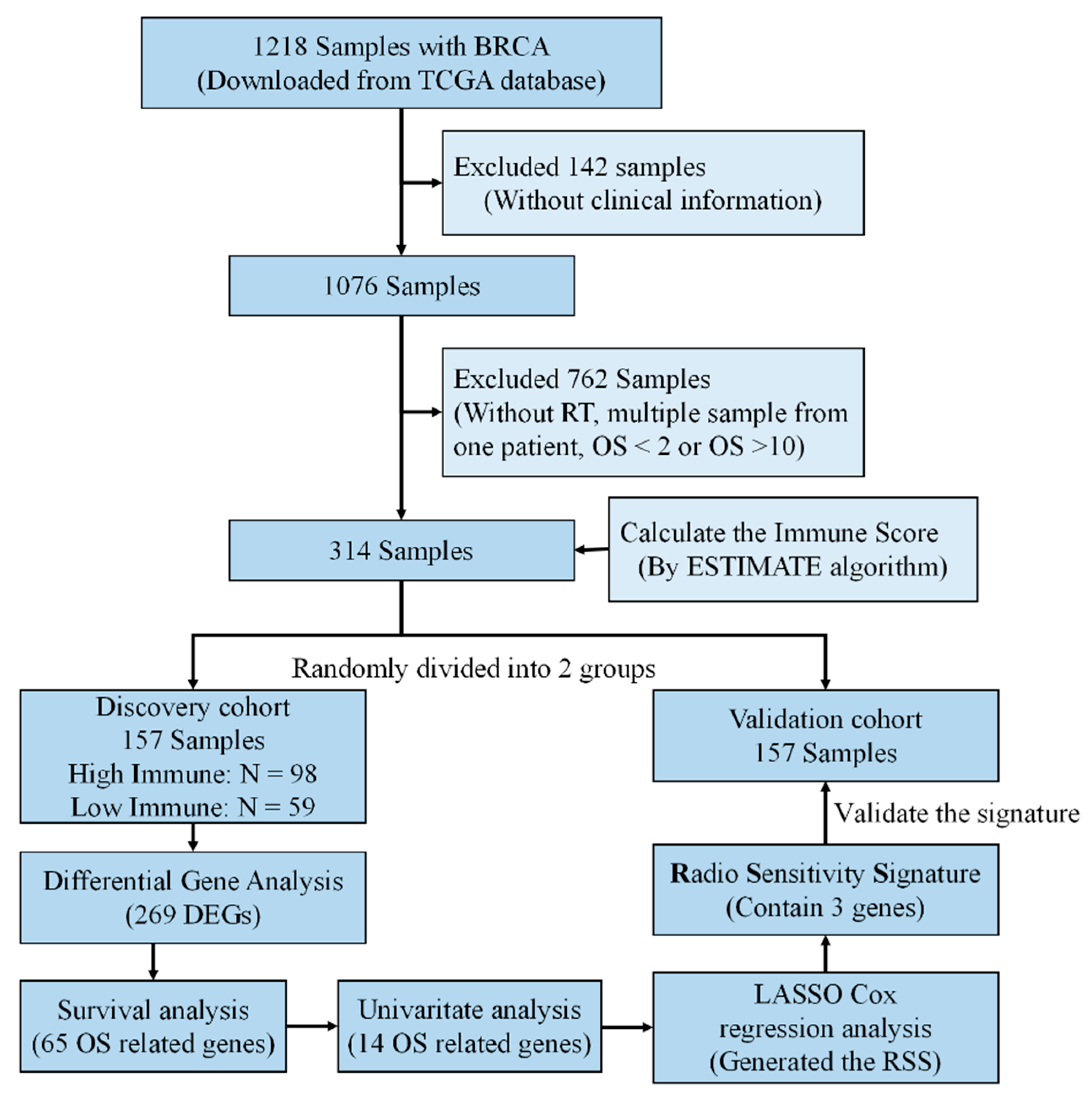 Cancers 12 00957 g005 Cancers 12 00957 g005