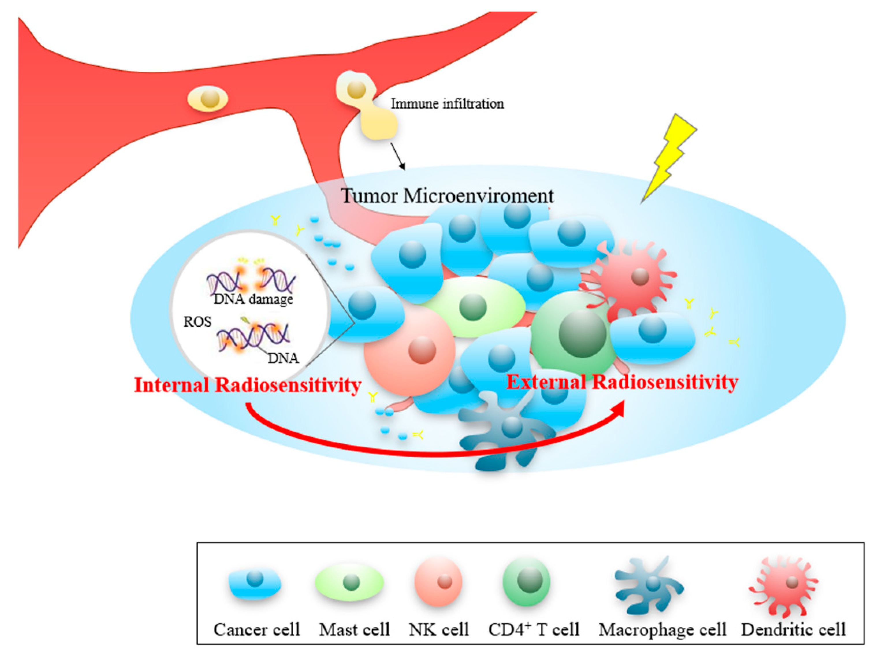 Cancers 12 00957 g007 Cancers 12 00957 g007