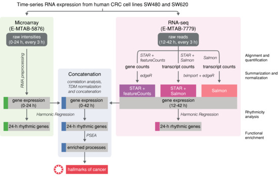 Analysis of the Circadian Regulation of Cancer Hallmarks by a