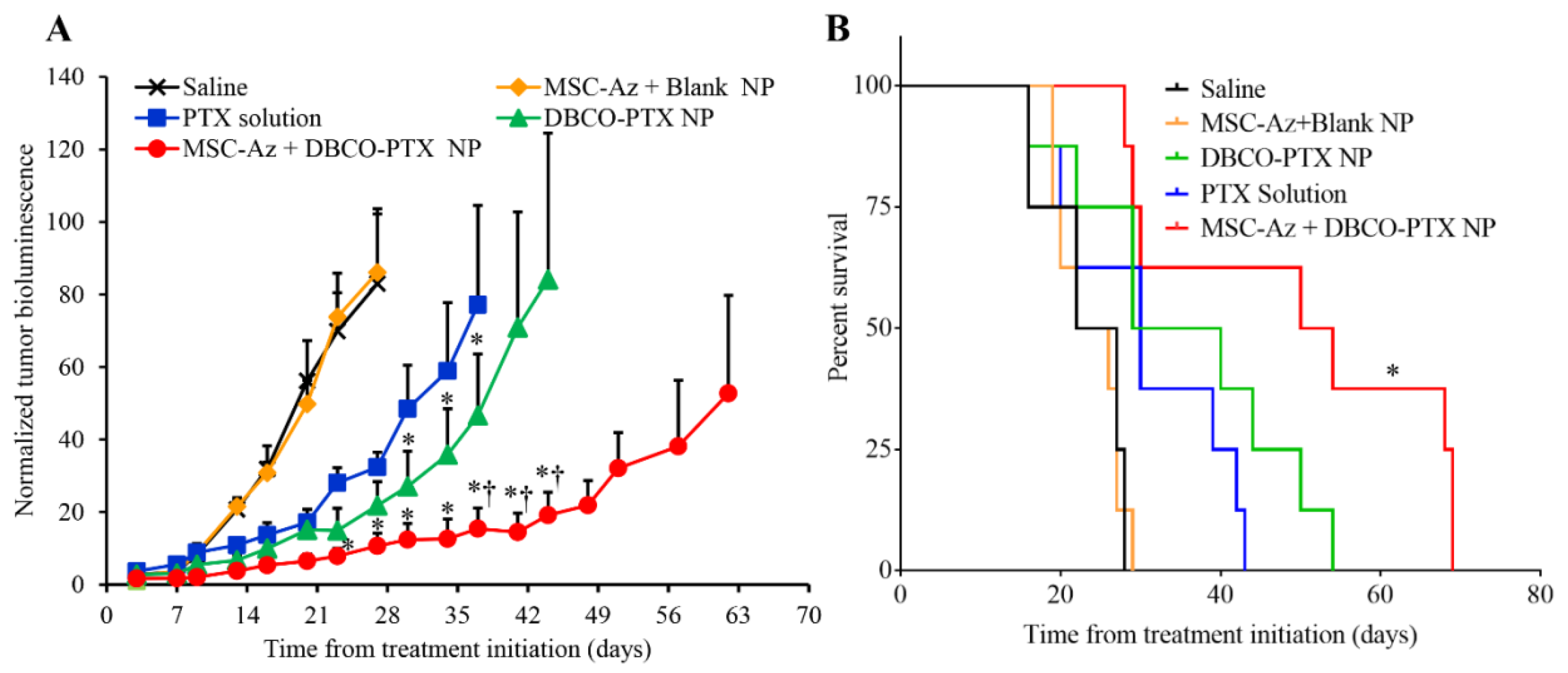 Cancers 12 00965 g003