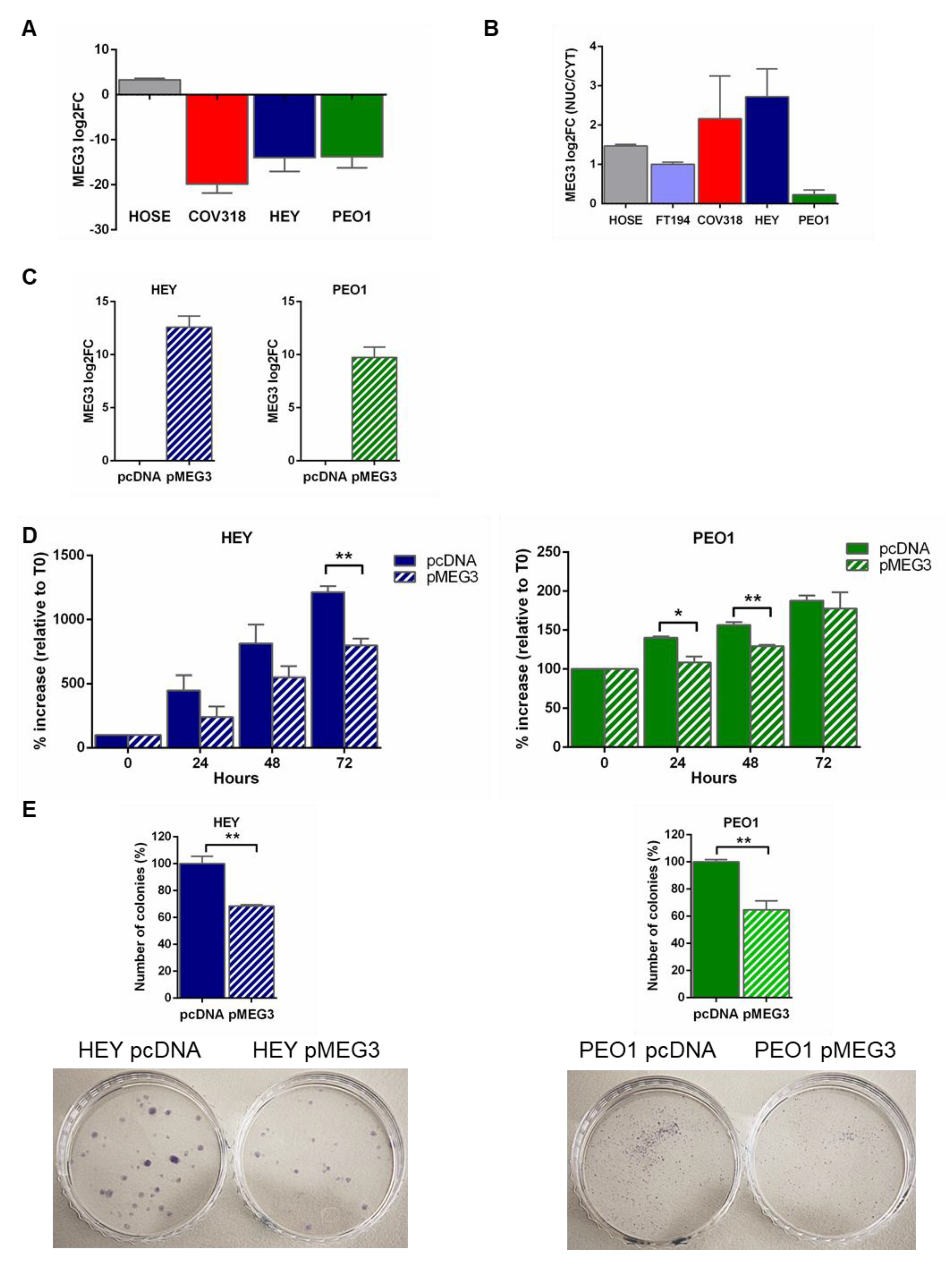 Cancers 12 00966 g002 Cancers 12 00966 g002
