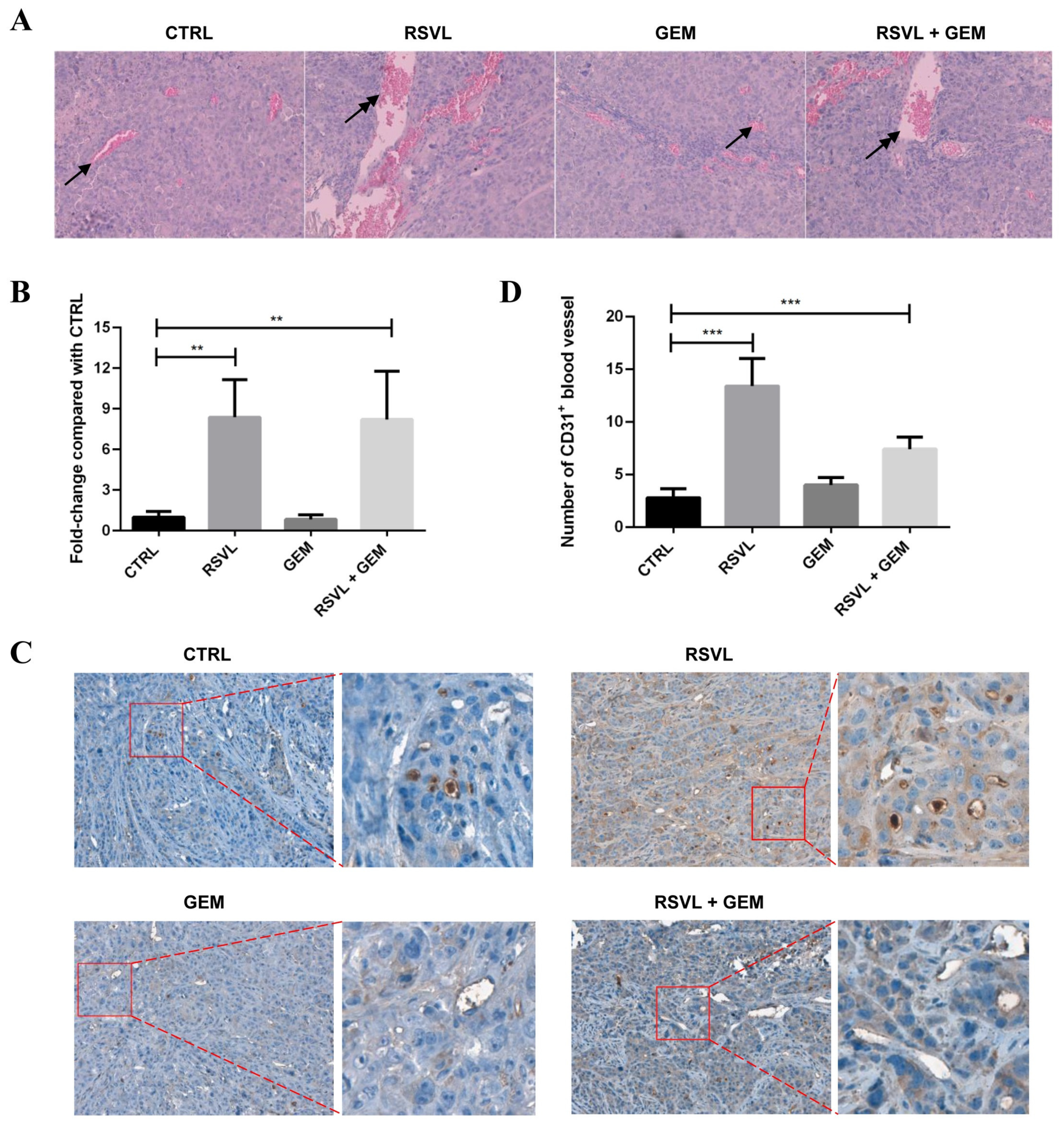 Cancers 12 00974 g003 Cancers 12 00974 g003