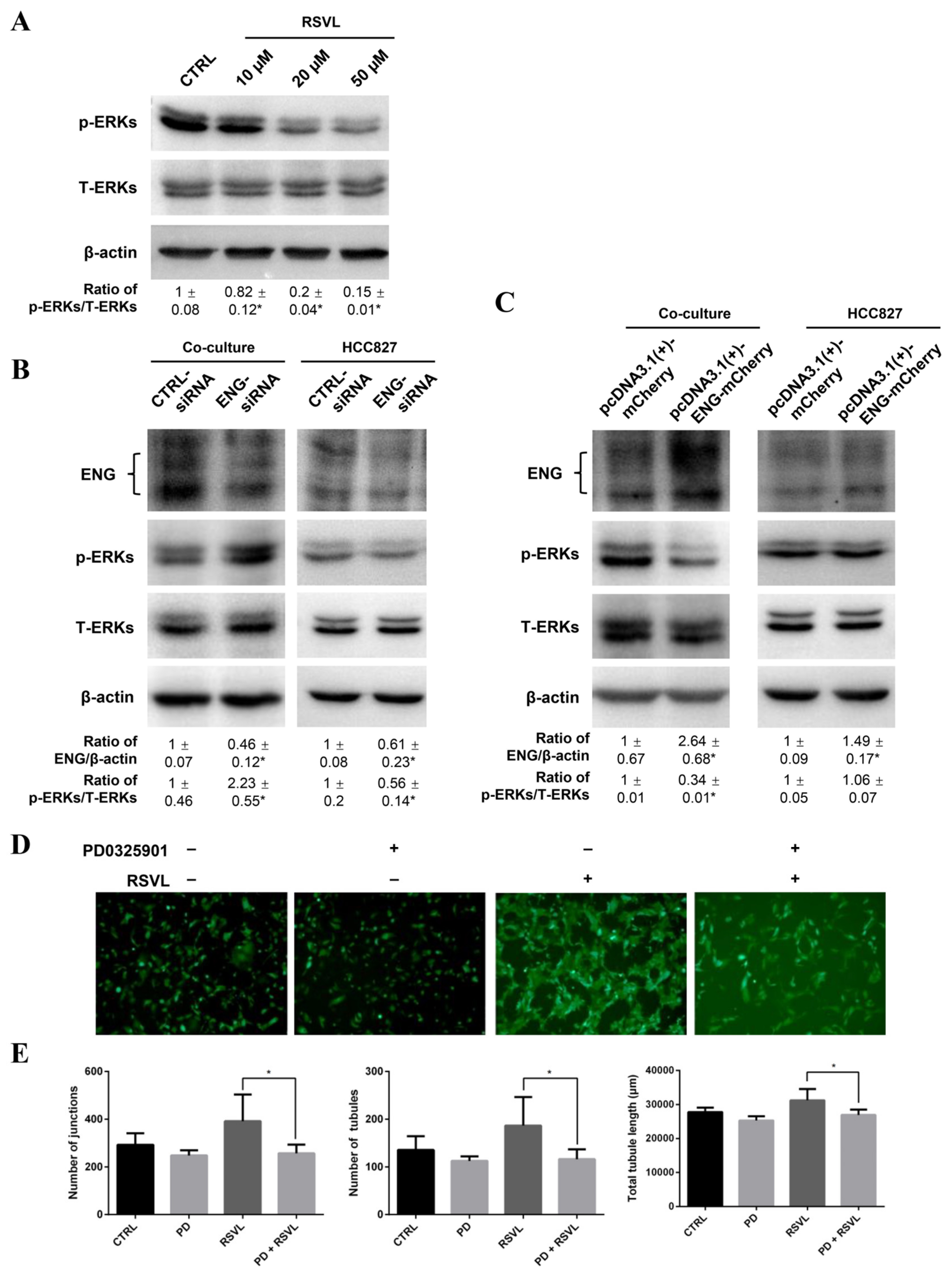 Cancers 12 00974 g008 Cancers 12 00974 g008