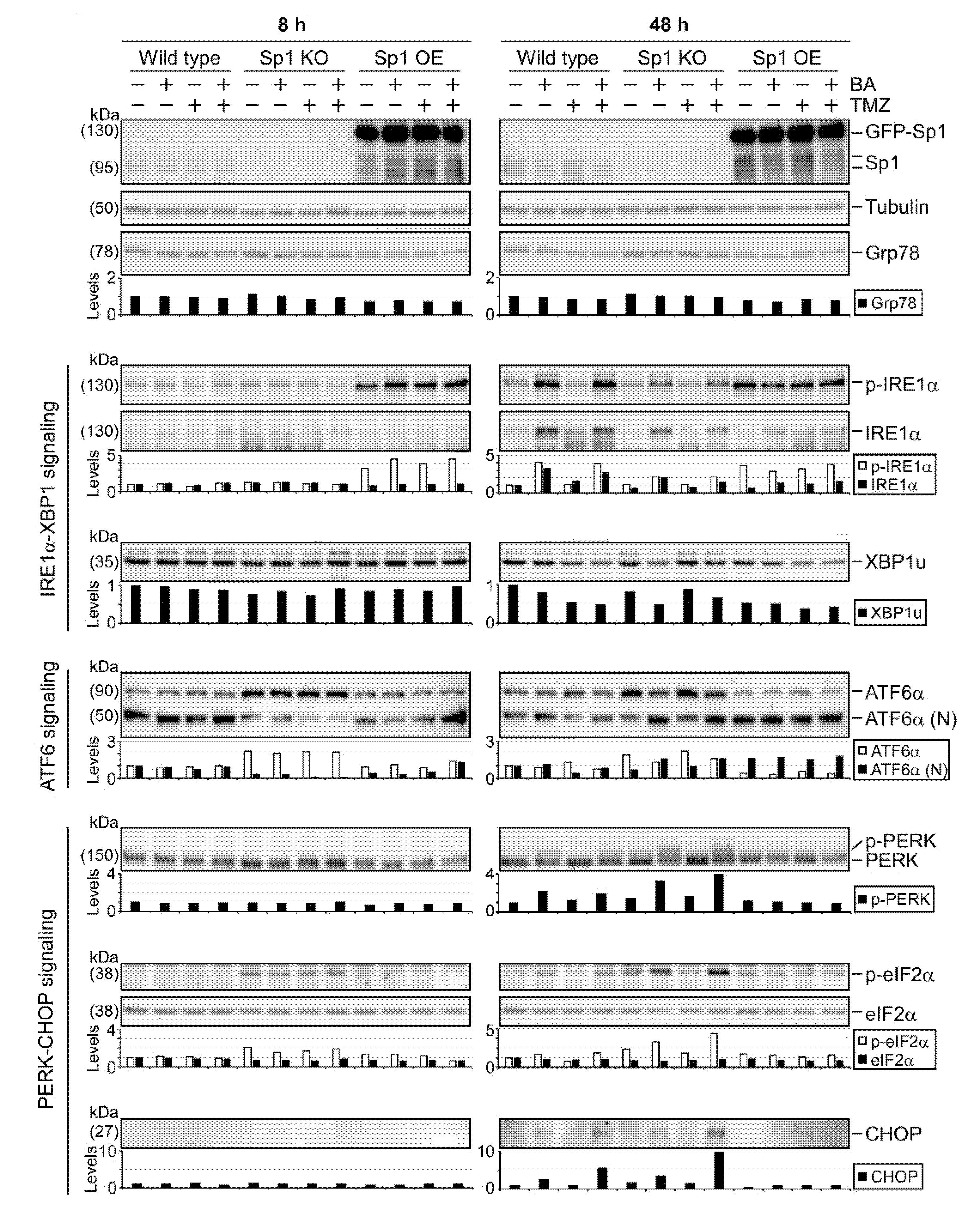 Cancers 12 00981 g005