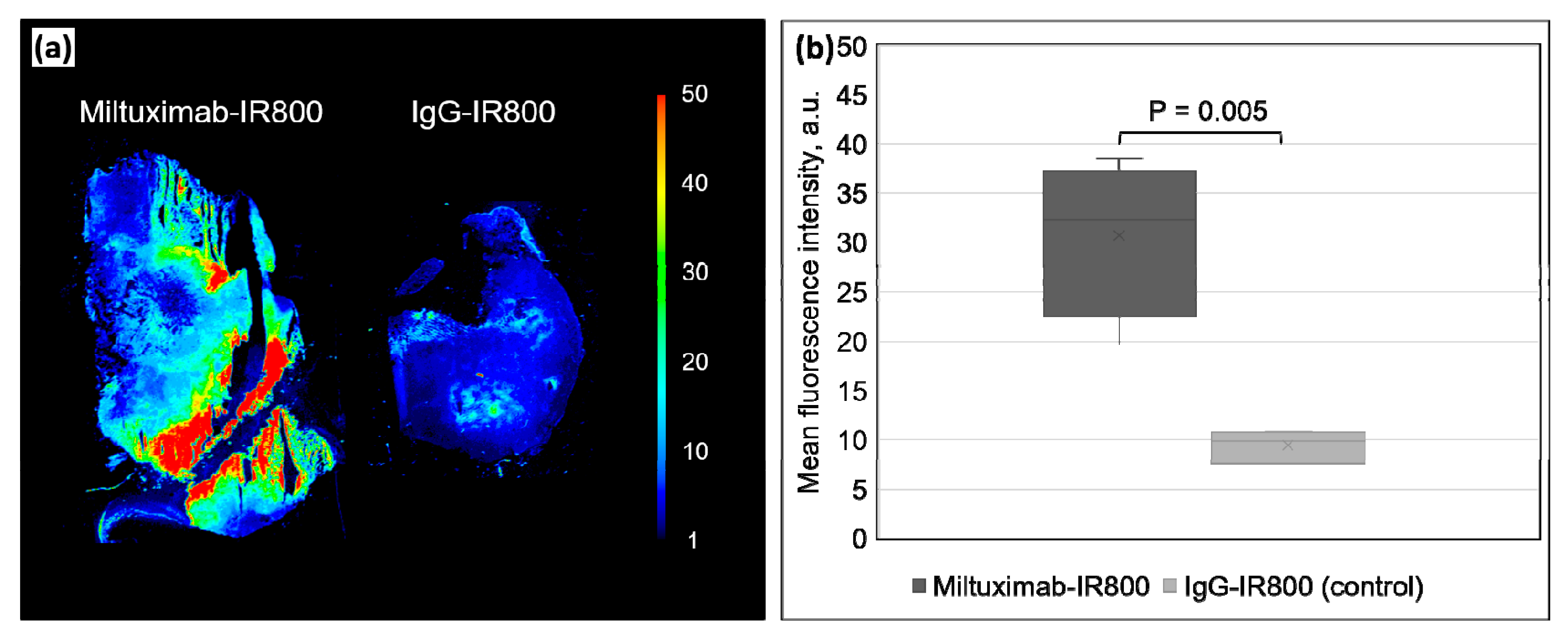 Cancers 12 00984 g006 Cancers 12 00984 g006