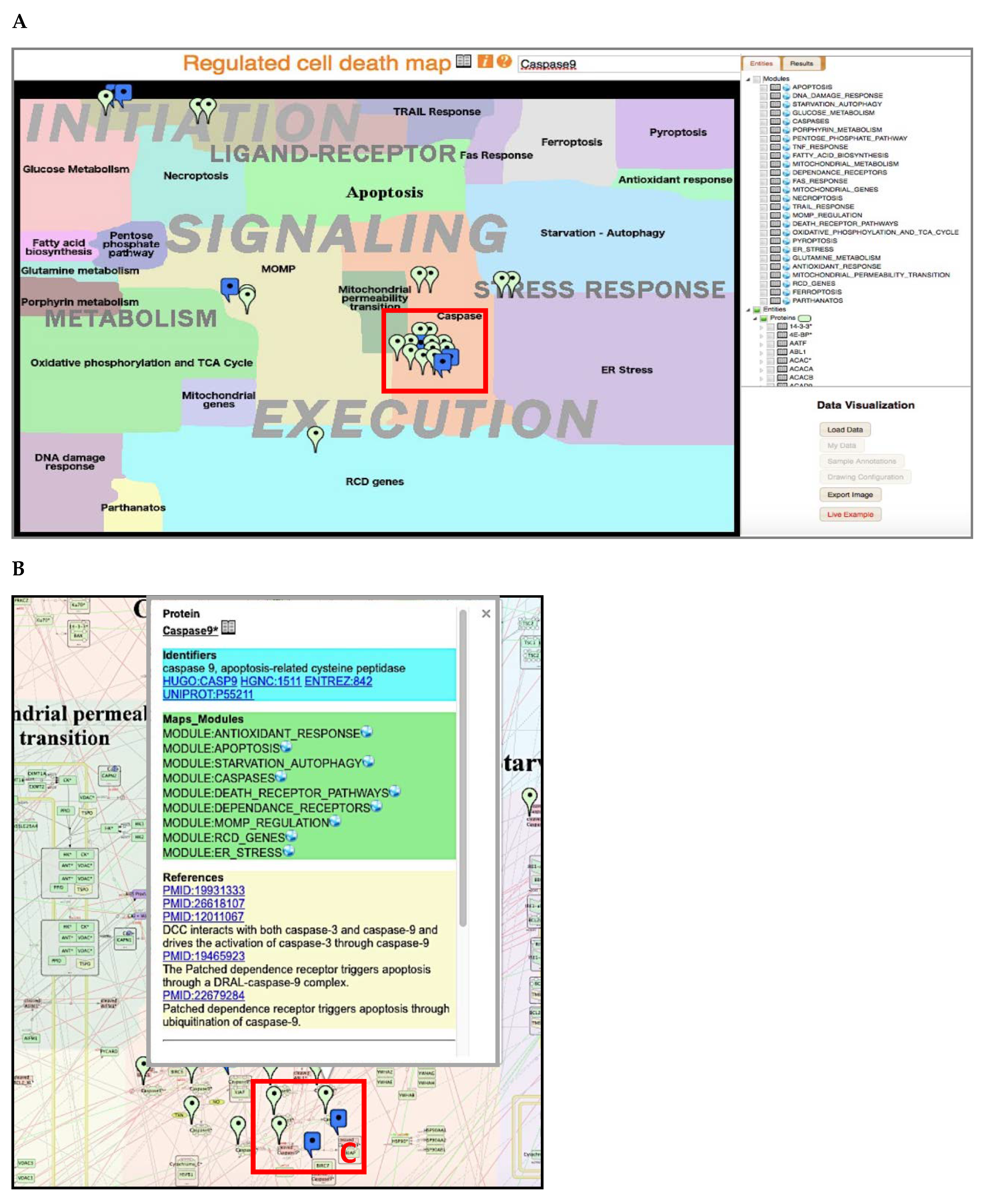Cancers 12 00990 g002a