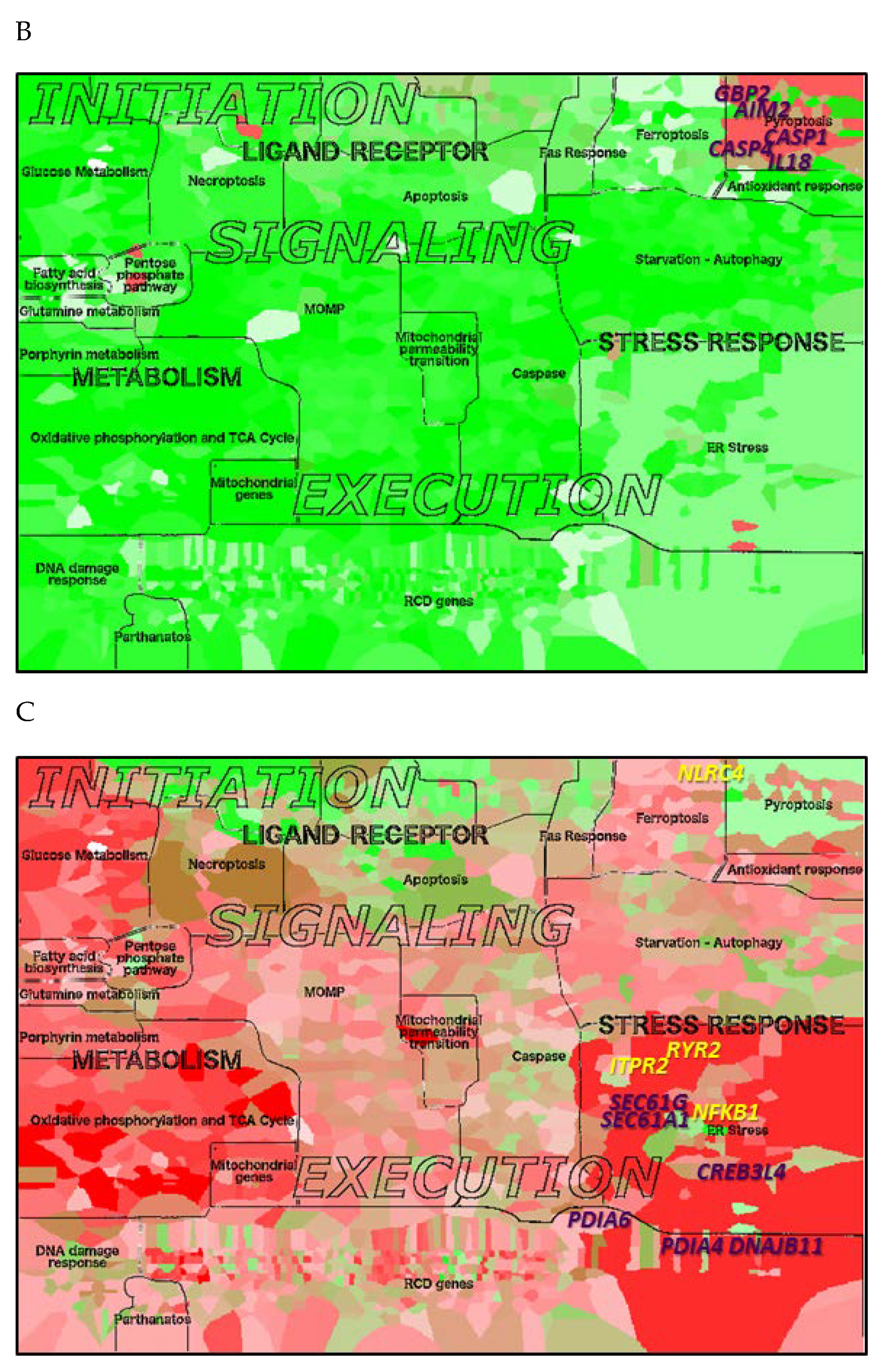 Cancers 12 00990 g005b