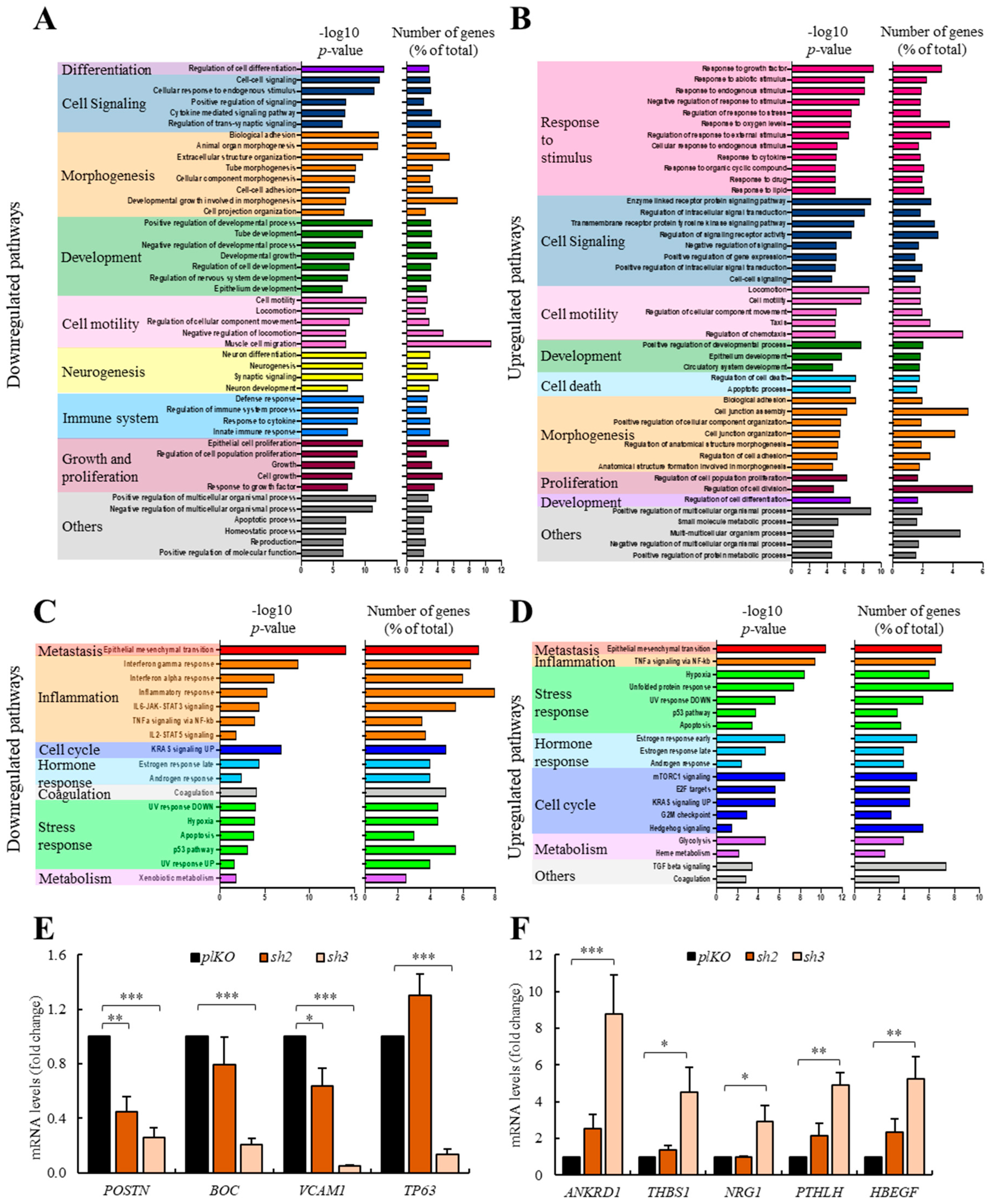 Cancers 12 00997 g006 Cancers 12 00997 g006