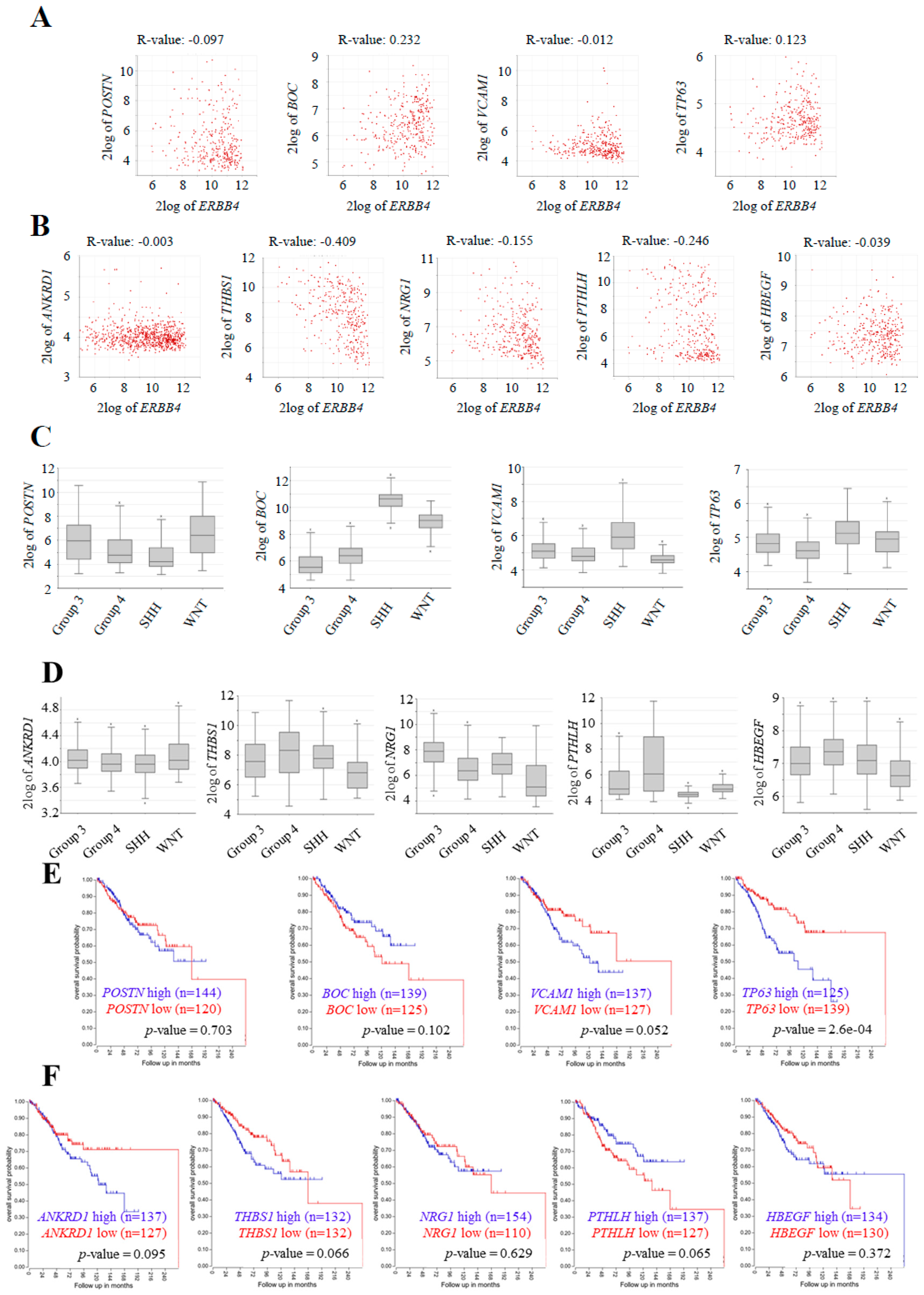 Cancers 12 00997 g007 Cancers 12 00997 g007