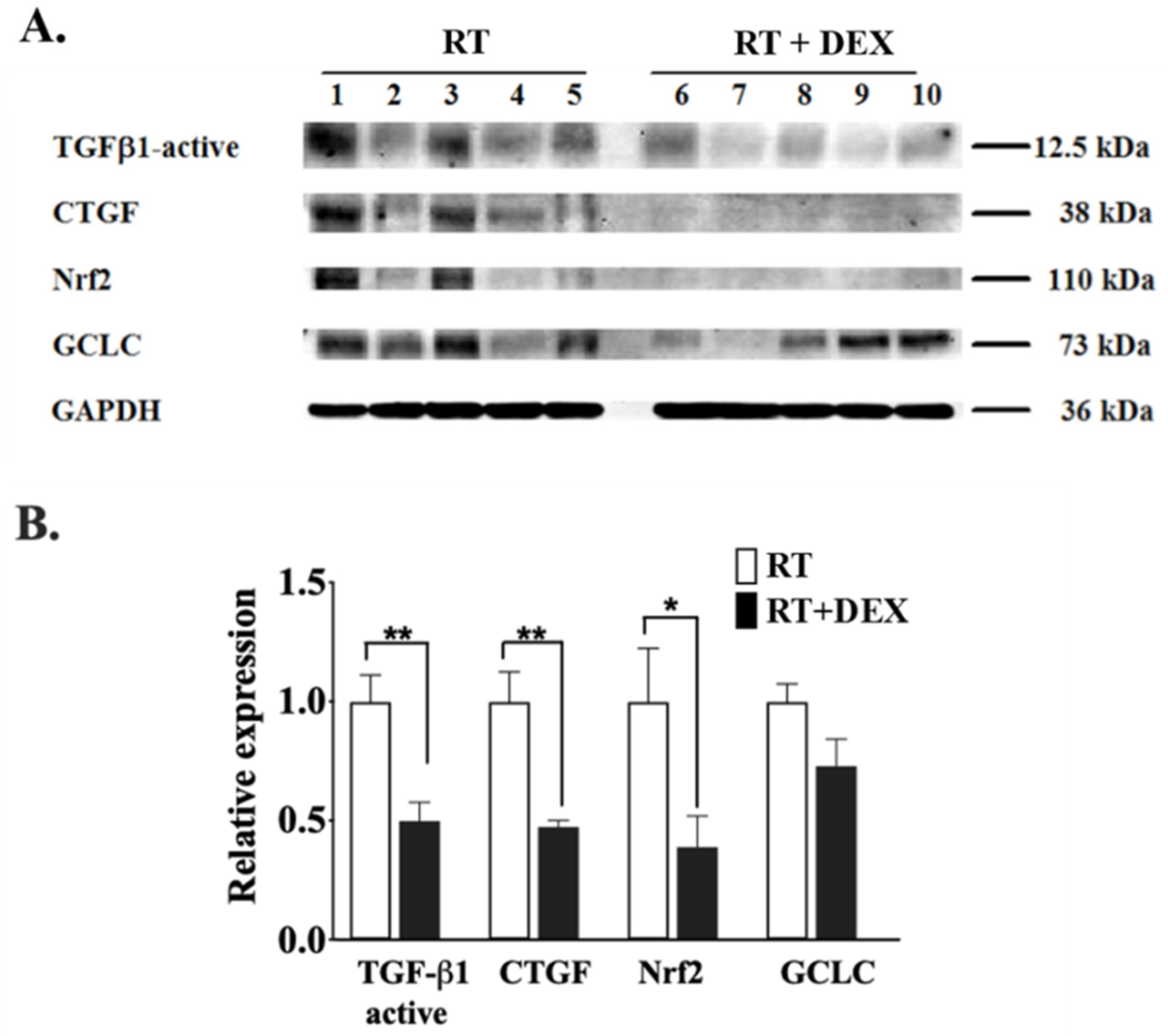 Cancers 12 00999 g008 Cancers 12 00999 g008