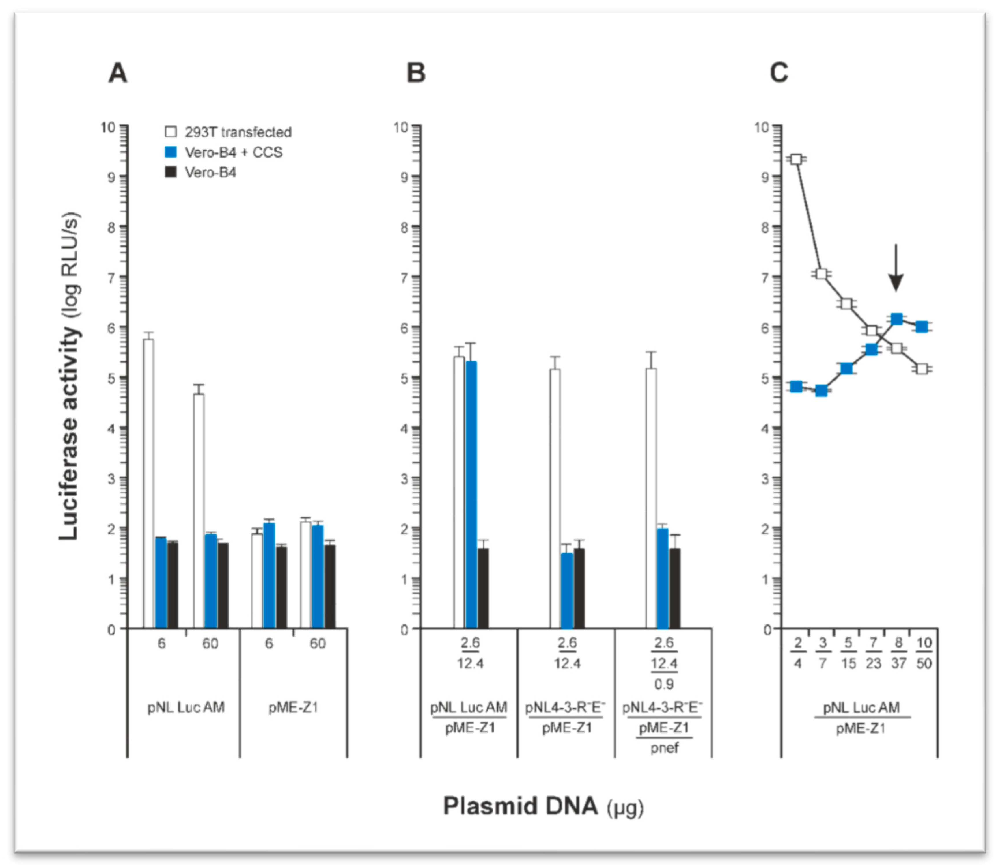 Cancers 12 01000 g001