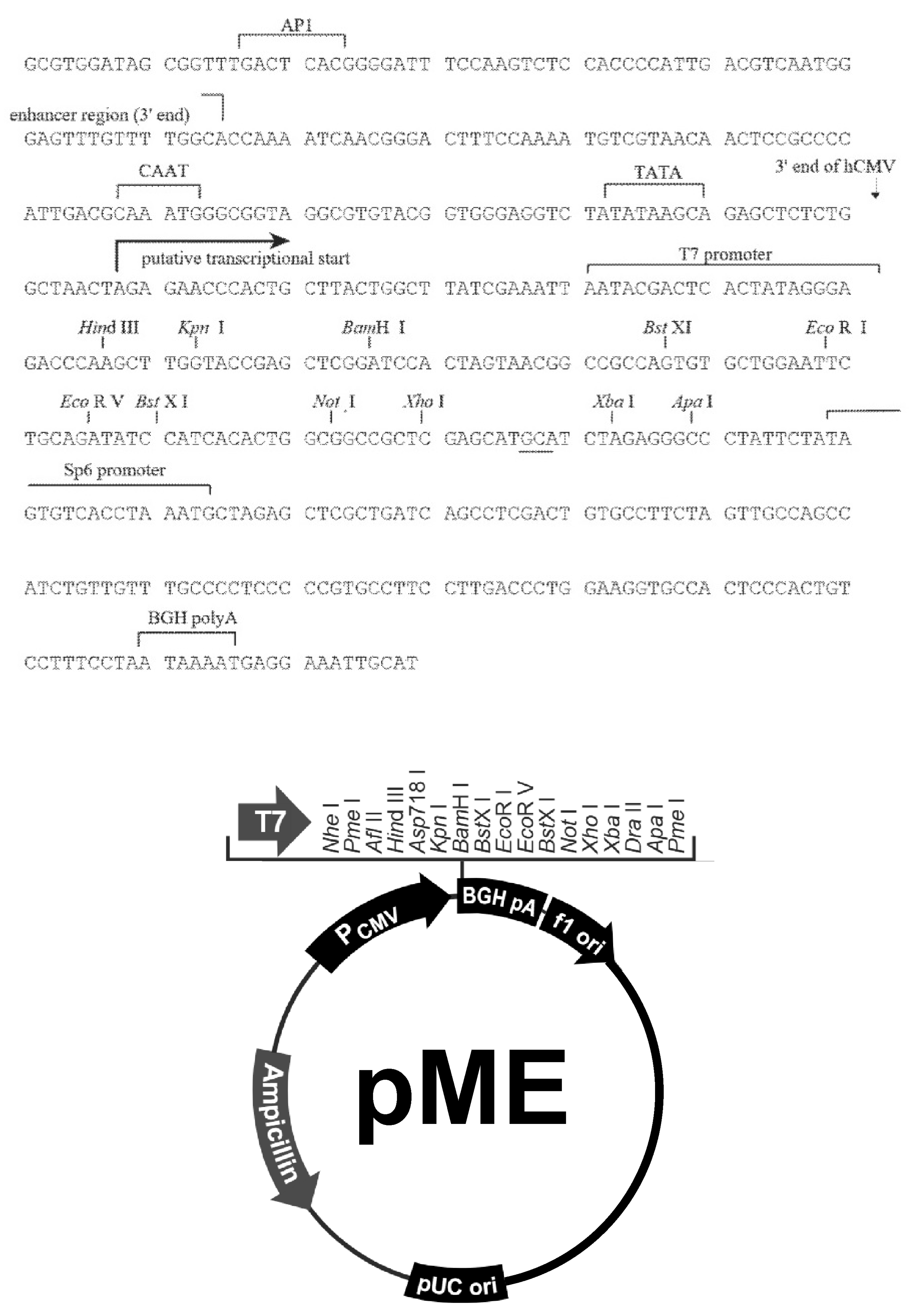 Cancers 12 01000 g0a1