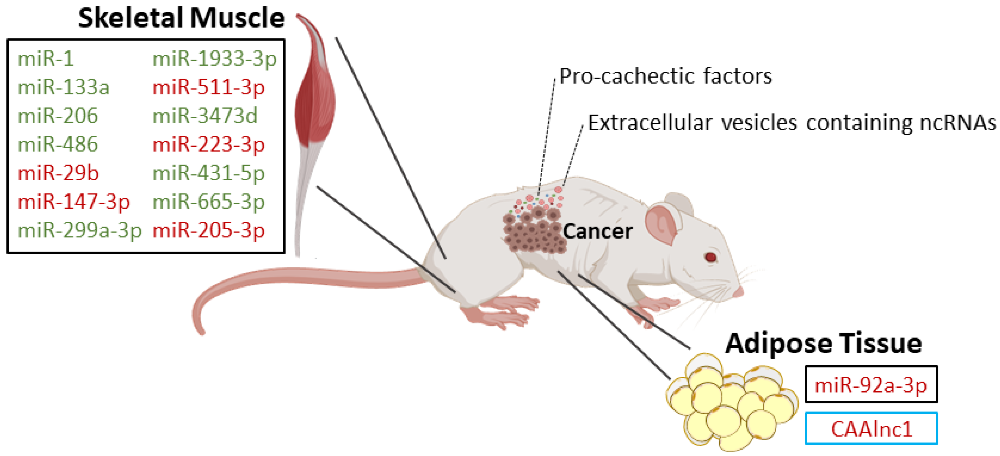 Cancers 12 01004 g001 Cancers 12 01004 g001