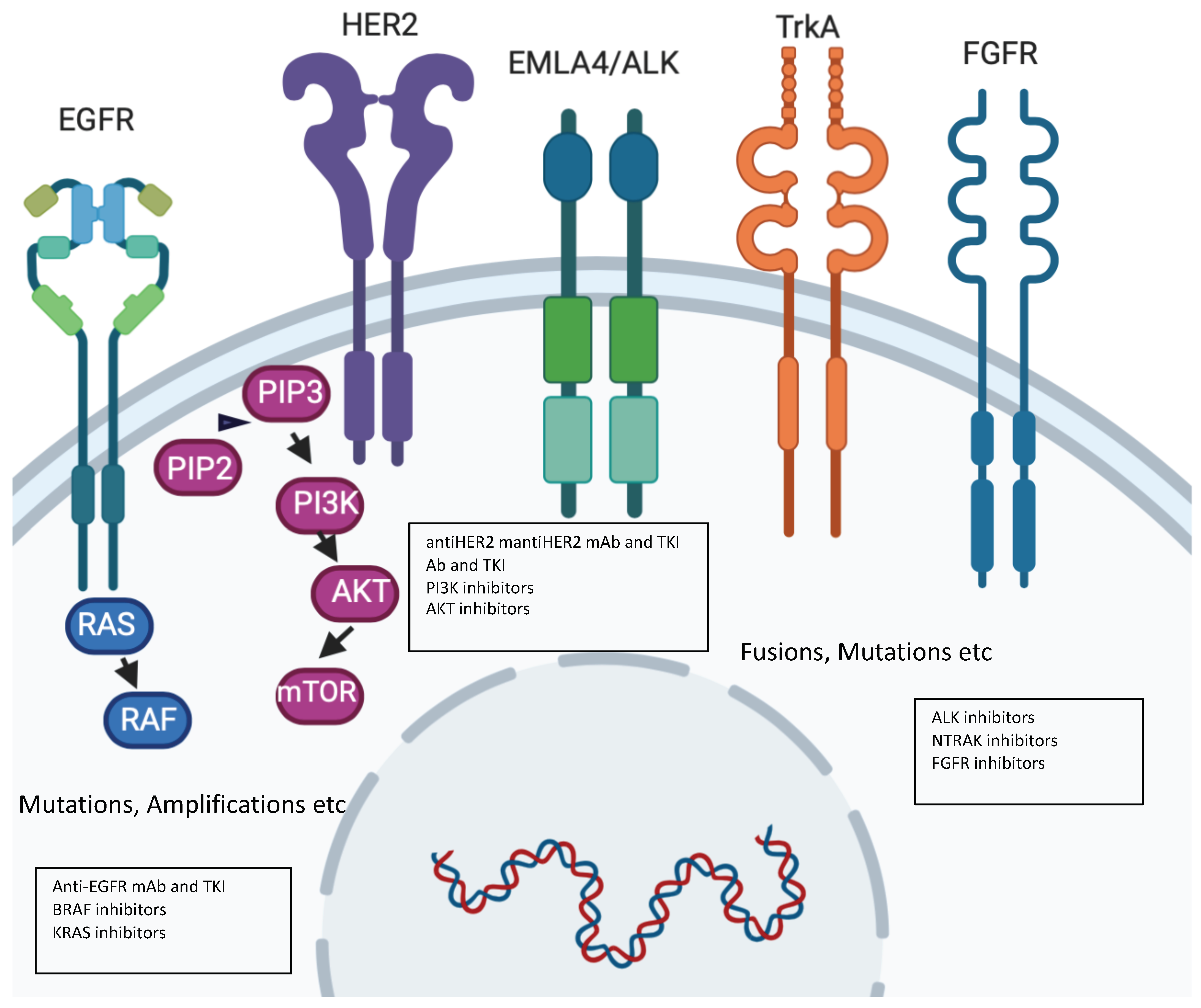 Cancers 12 01009 g002