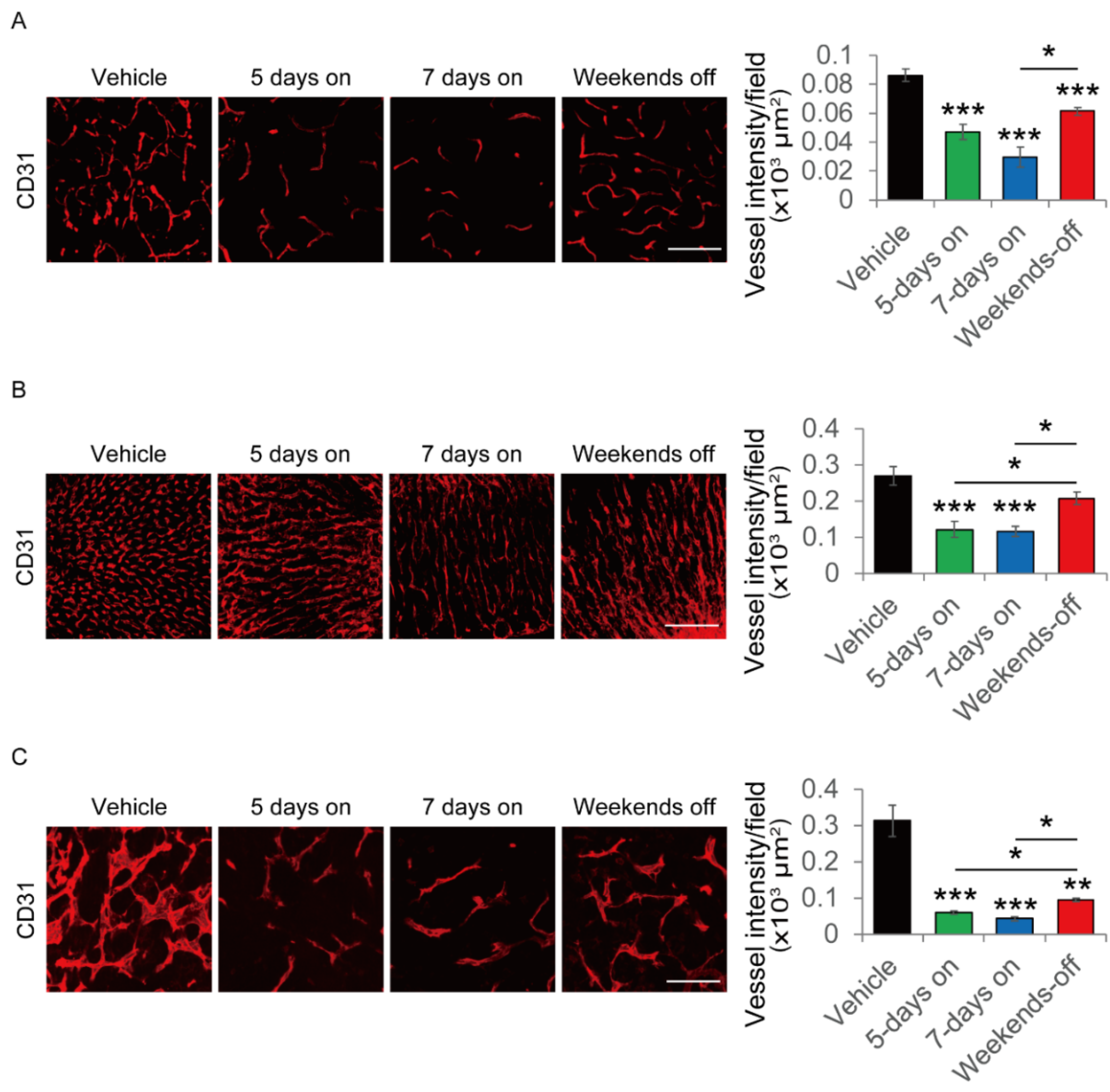 Cancers 12 01010 g005