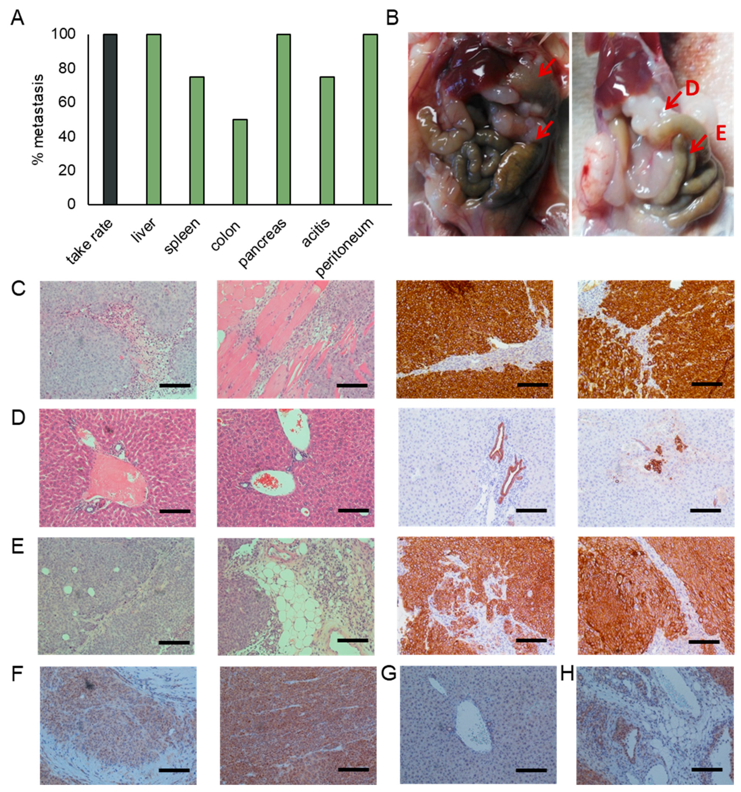 Cancers 12 01011 g005