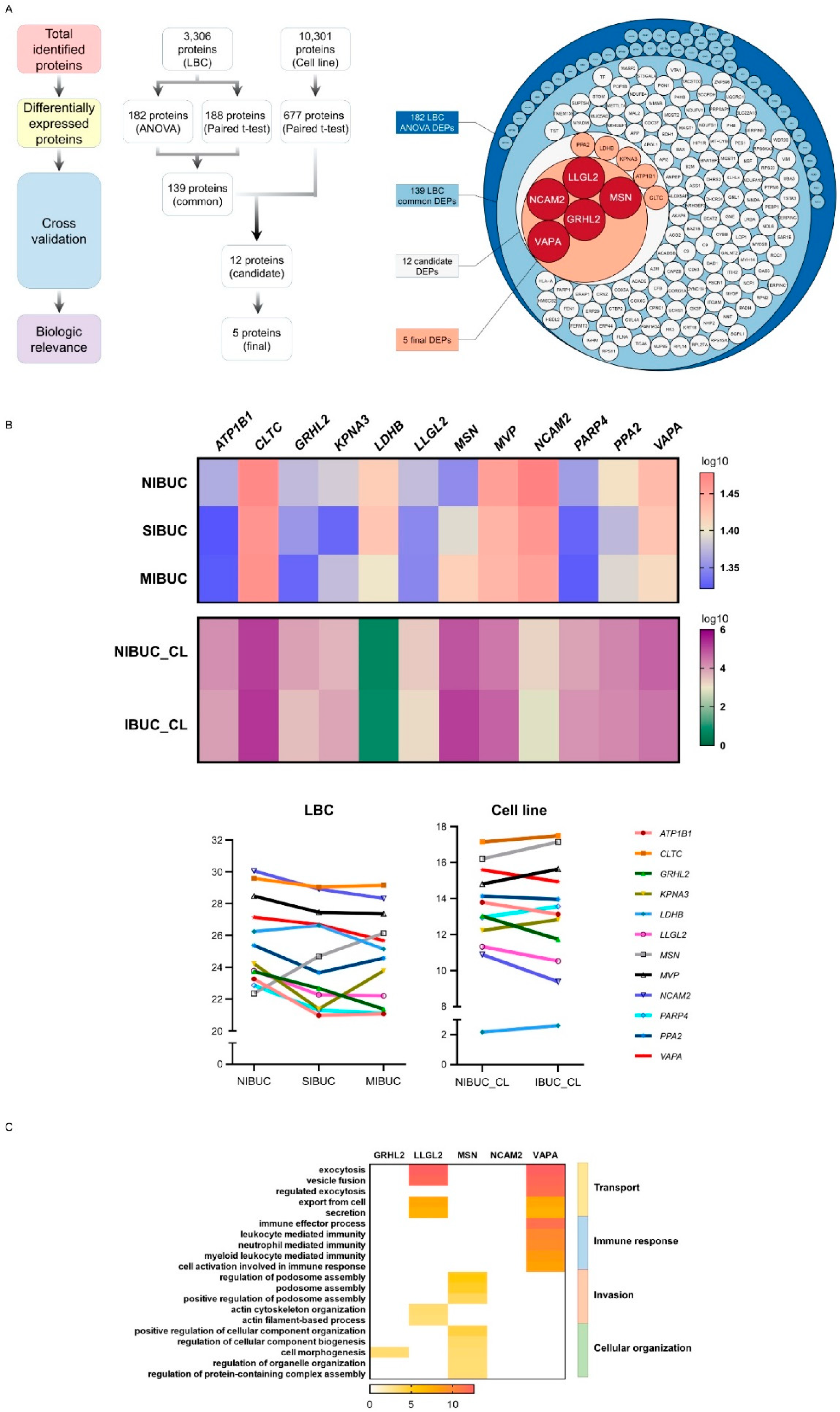 Cancers 12 01018 g003