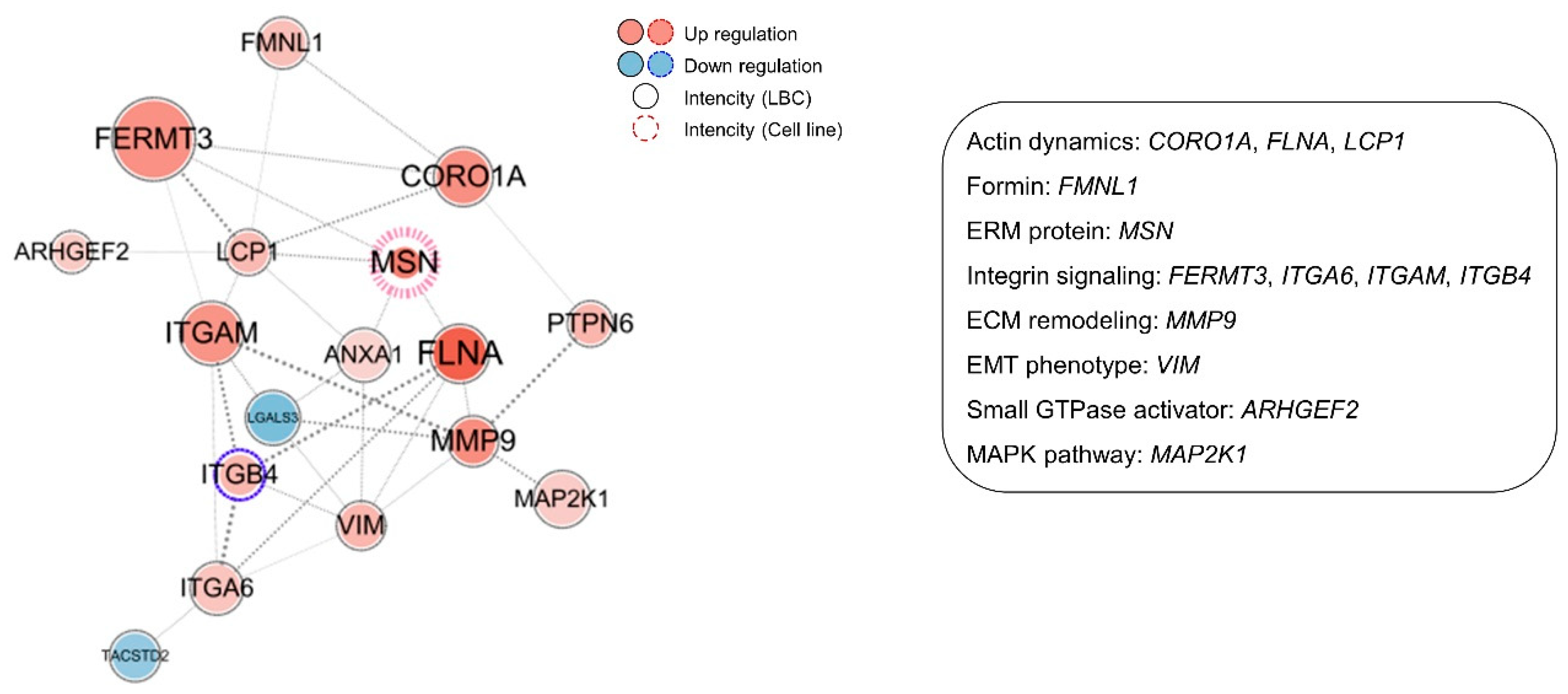 Cancers 12 01018 g005
