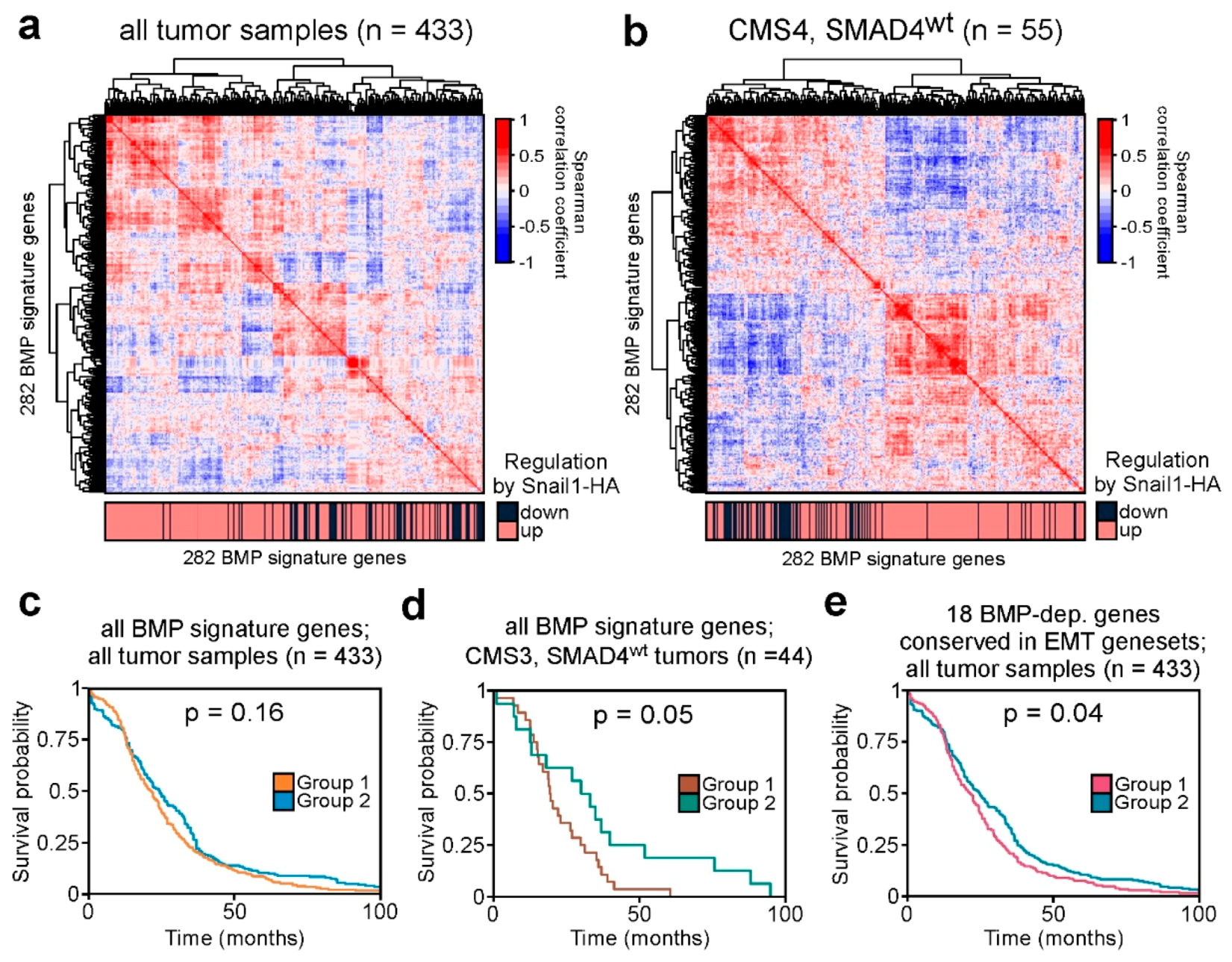 Cancers 12 01019 g005 Cancers 12 01019 g005