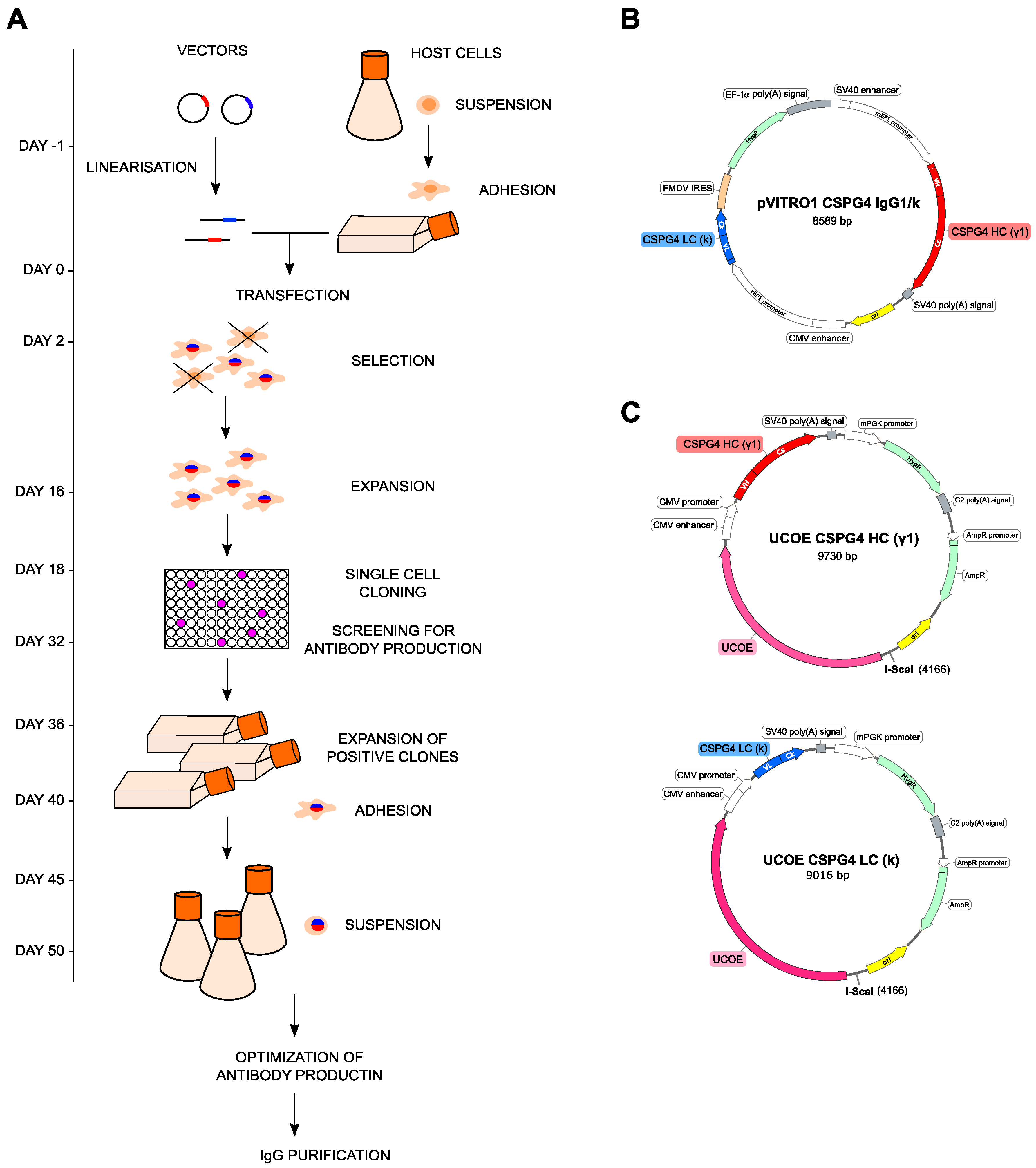 Cancers 12 01029 g001 Cancers 12 01029 g001