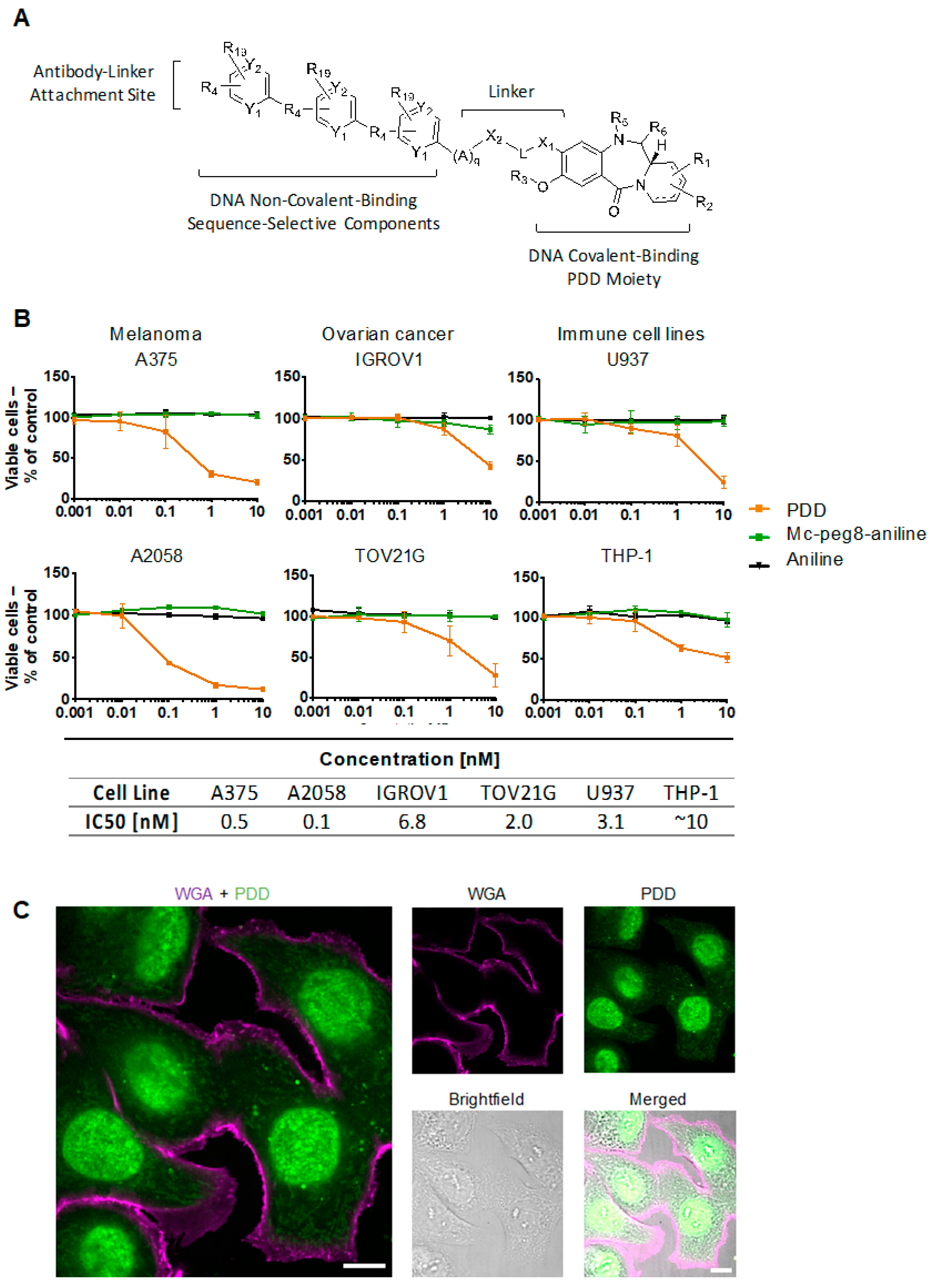 Cancers 12 01029 g003 Cancers 12 01029 g003