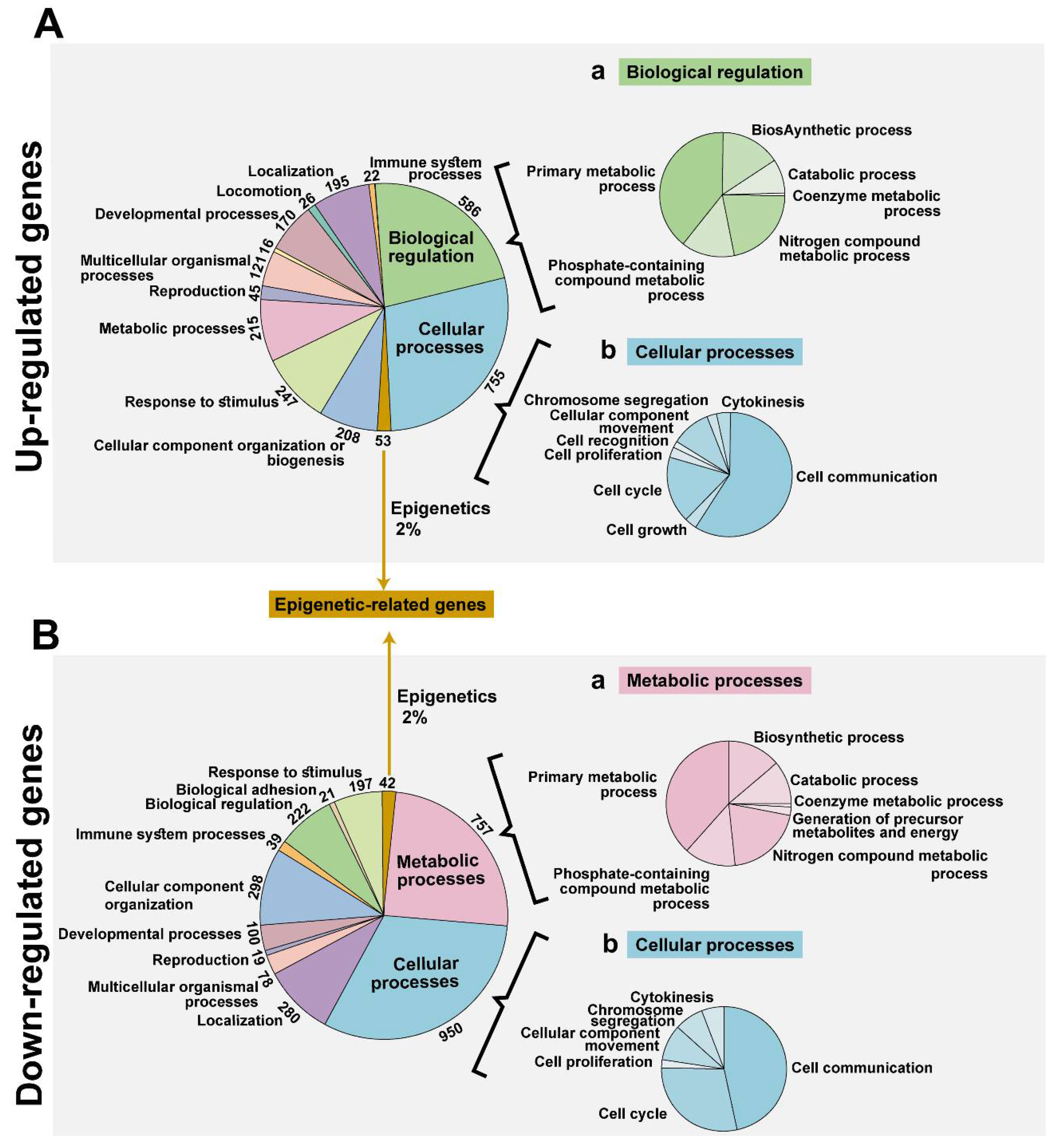 Cancers 12 01031 g002 Cancers 12 01031 g002