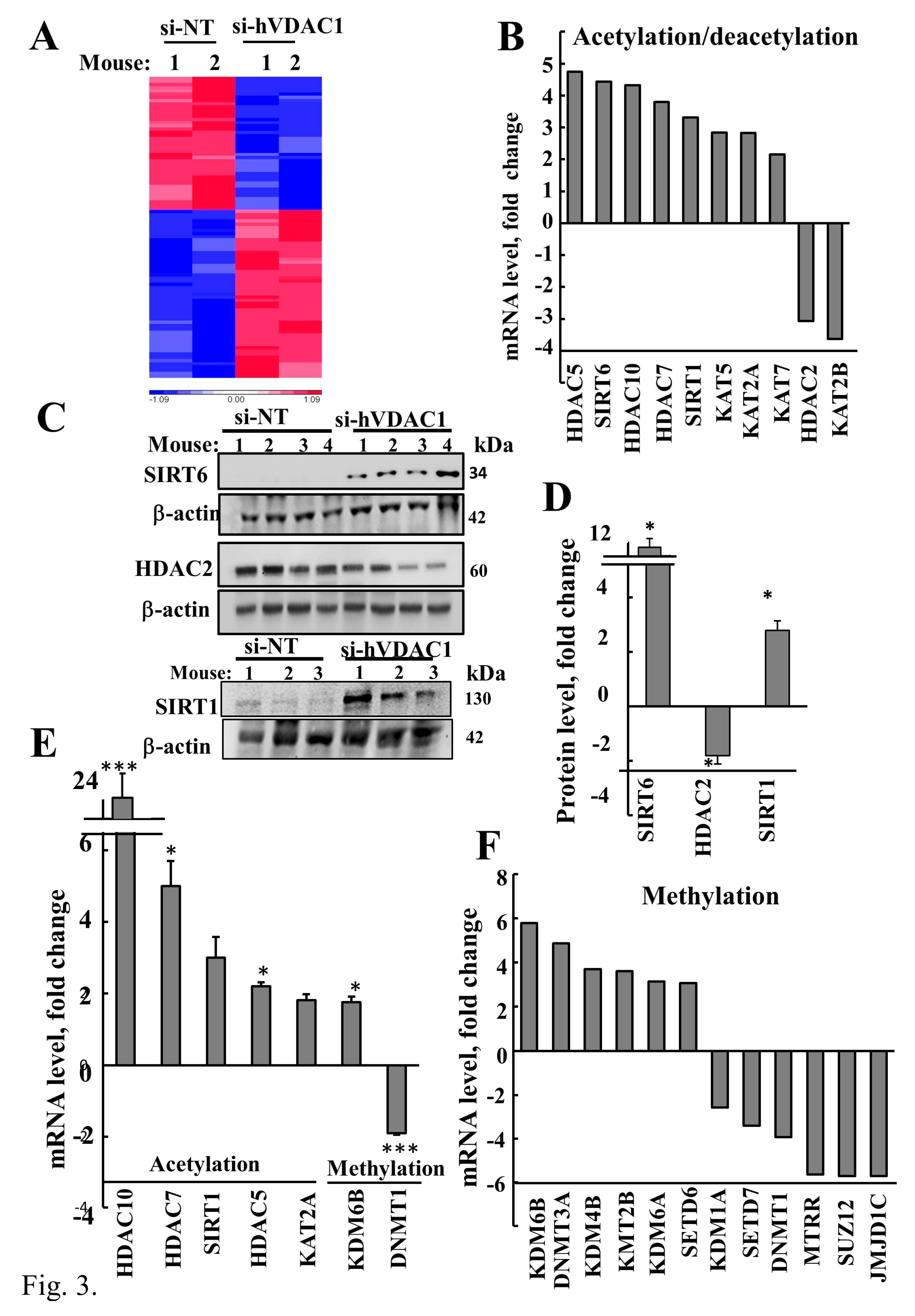 Cancers 12 01031 g003 Cancers 12 01031 g003