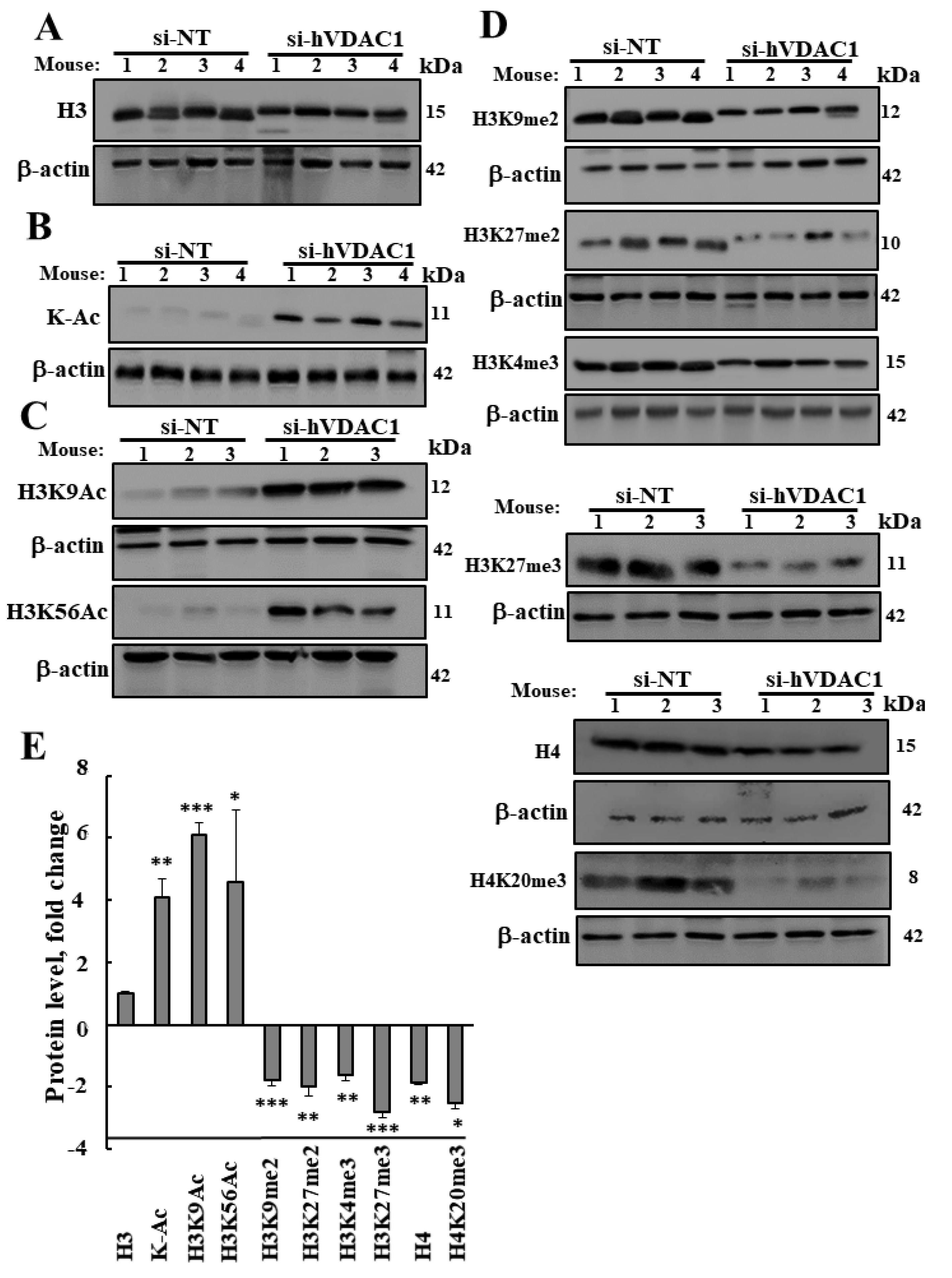 Cancers 12 01031 g004 Cancers 12 01031 g004