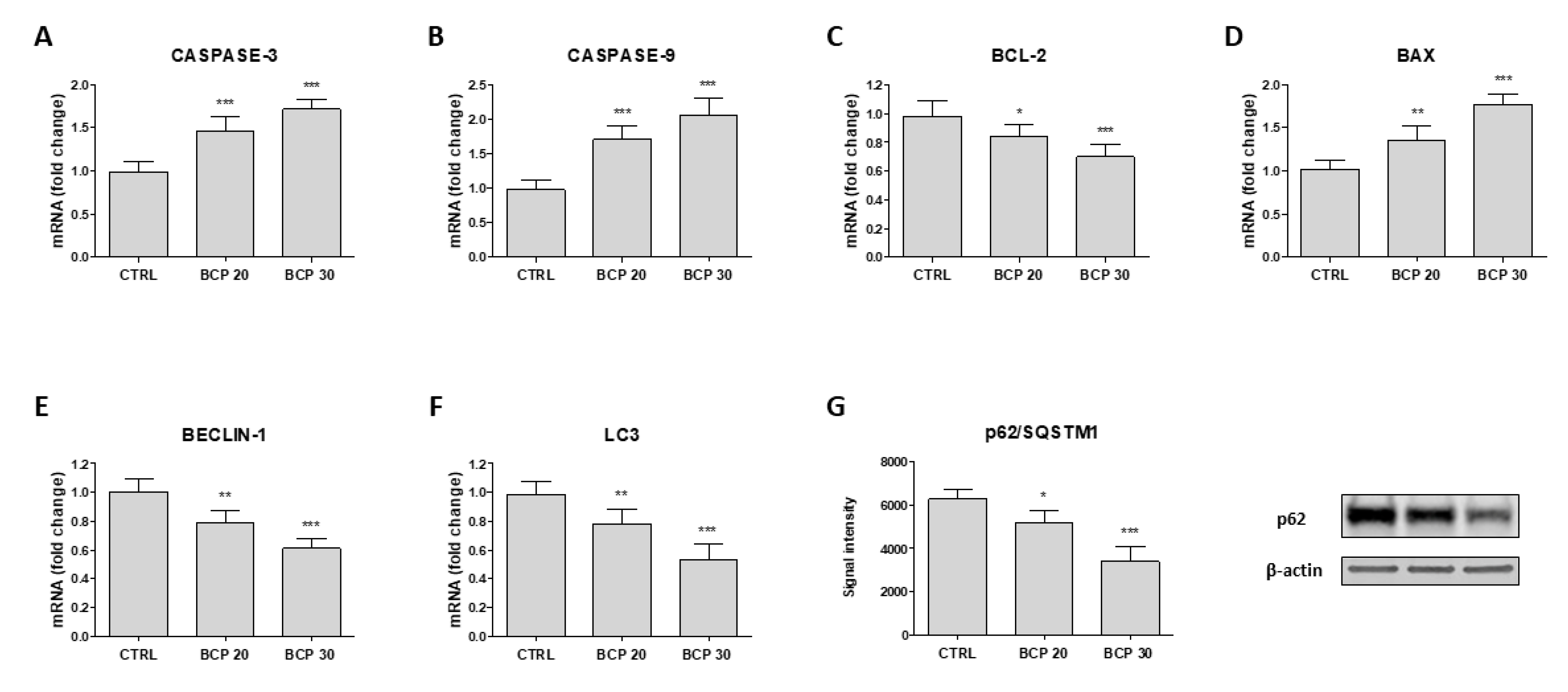 Cancers 12 01038 g003 Cancers 12 01038 g003