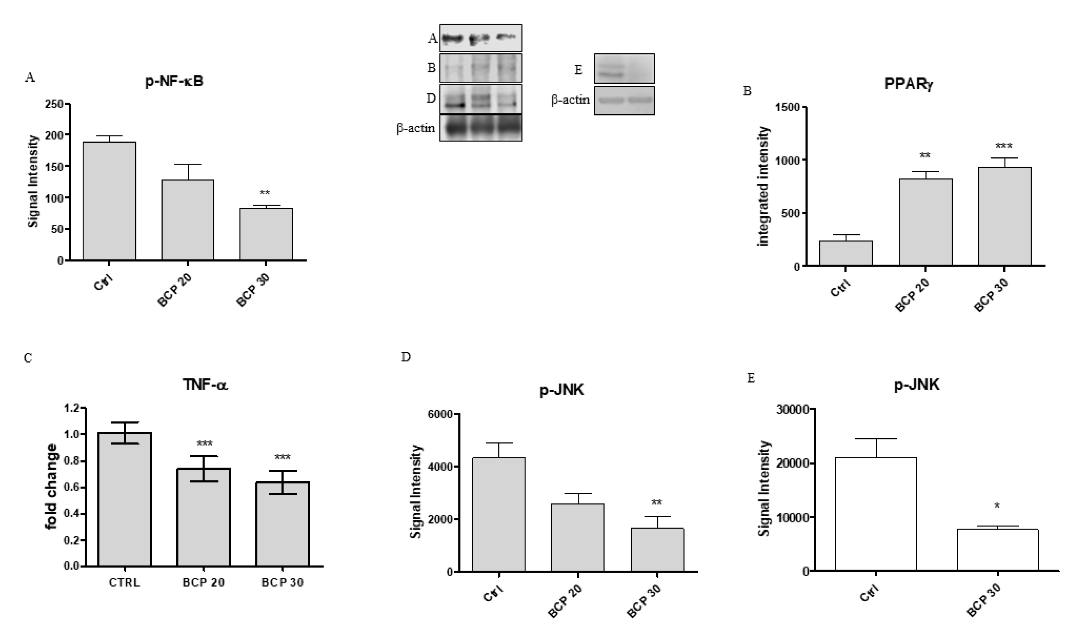 Cancers 12 01038 g004 Cancers 12 01038 g004