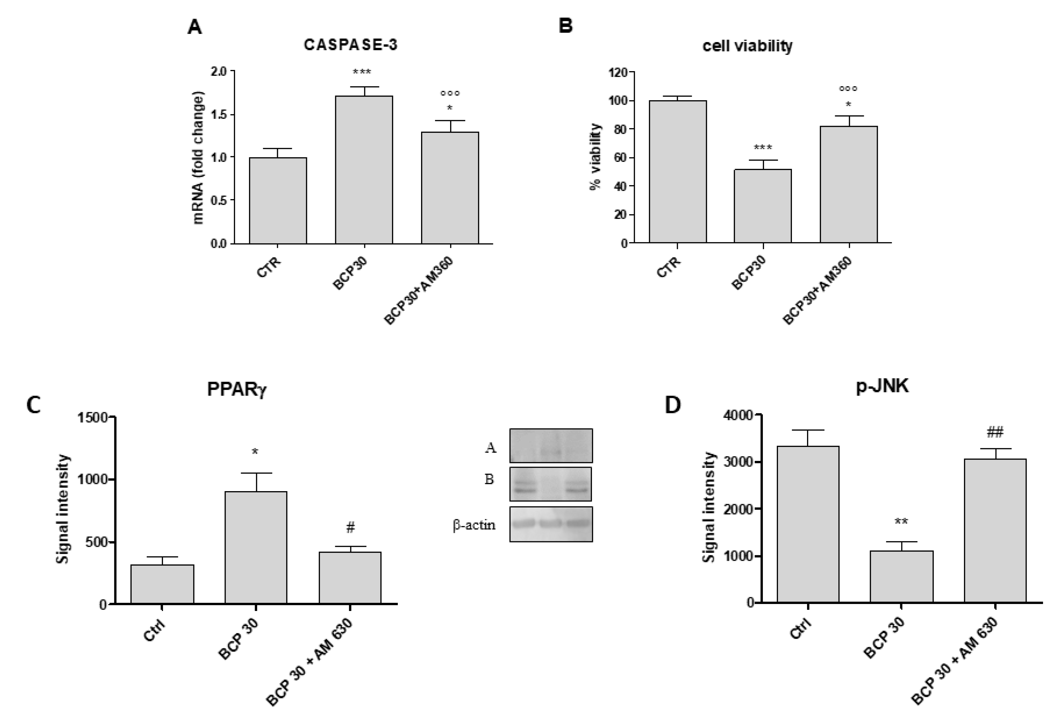 Cancers 12 01038 g005 Cancers 12 01038 g005